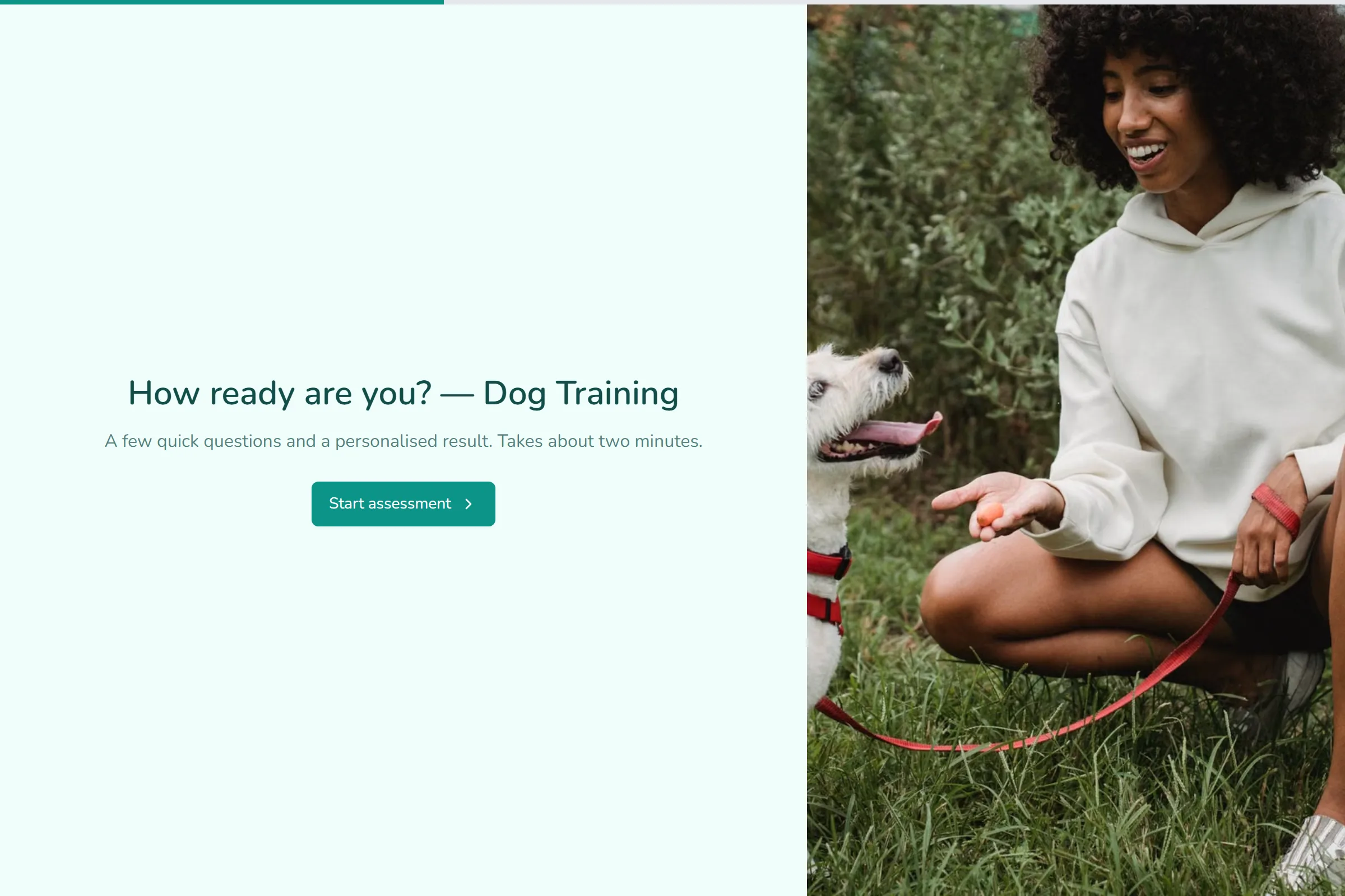 Dog Training Skills & Goals Assessment template preview