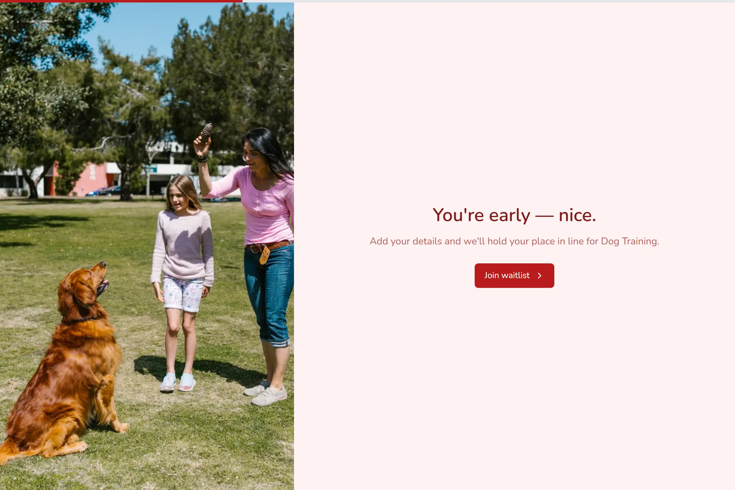 Dog Training Waitlist template preview