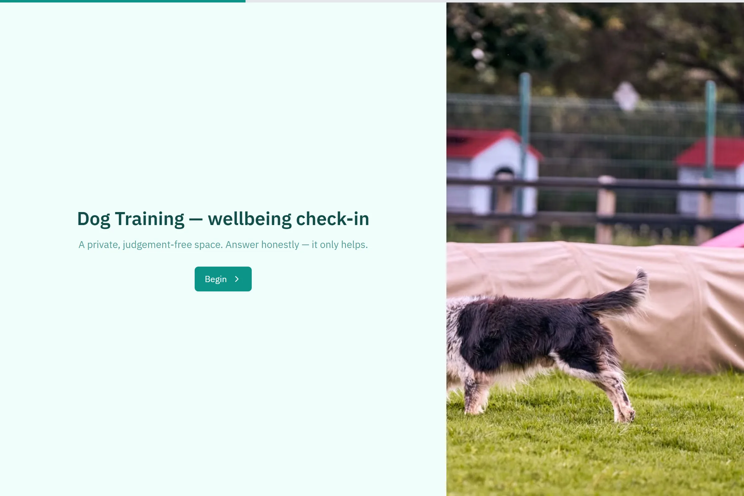 Dog Training Wellbeing Check-in template preview