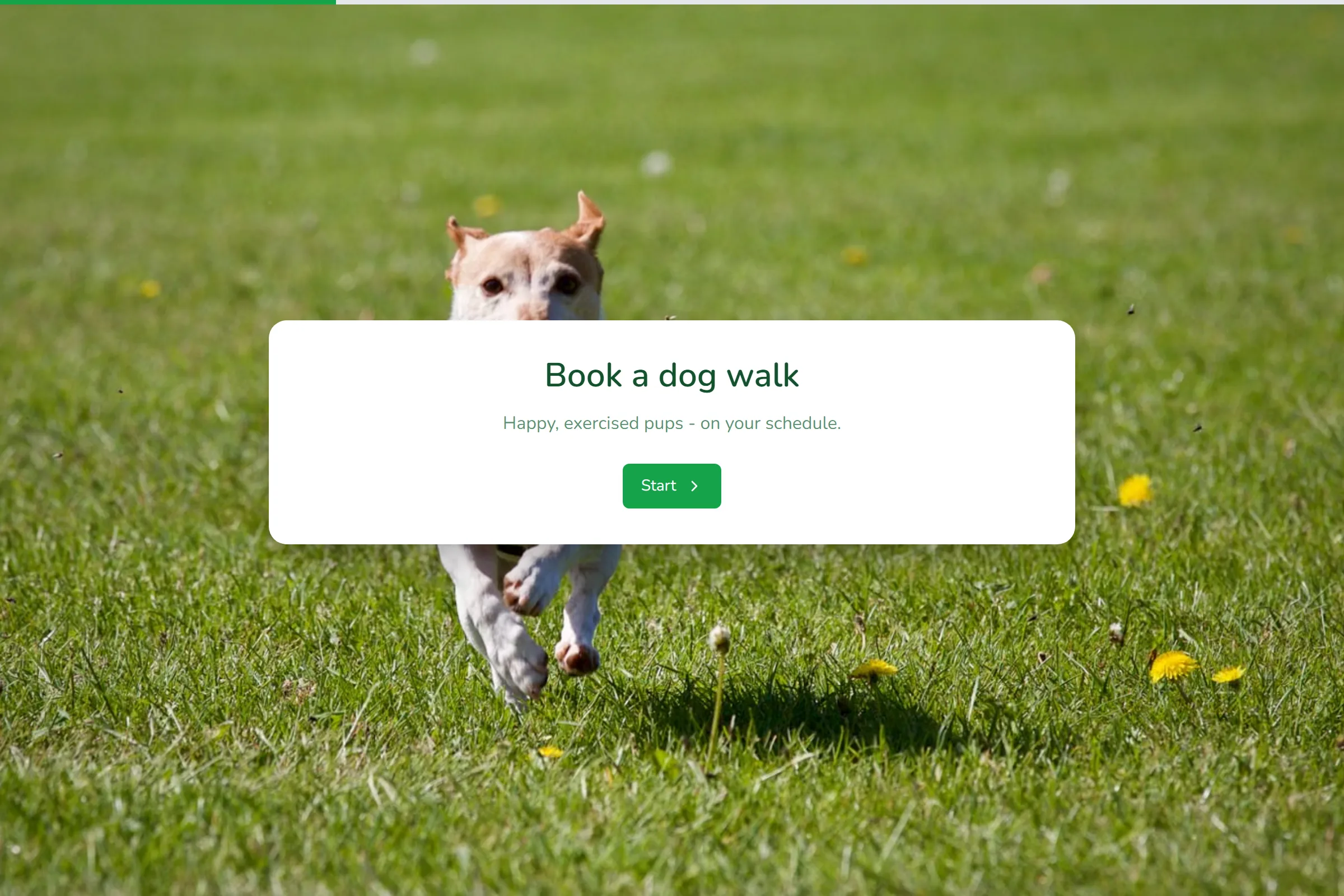 Dog Walking Booking template preview