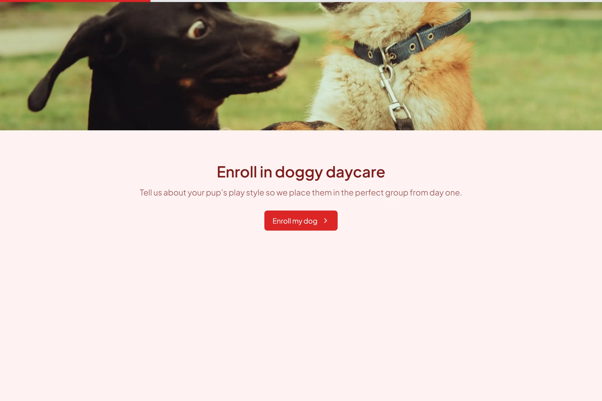 Doggy Daycare Enrollment template preview