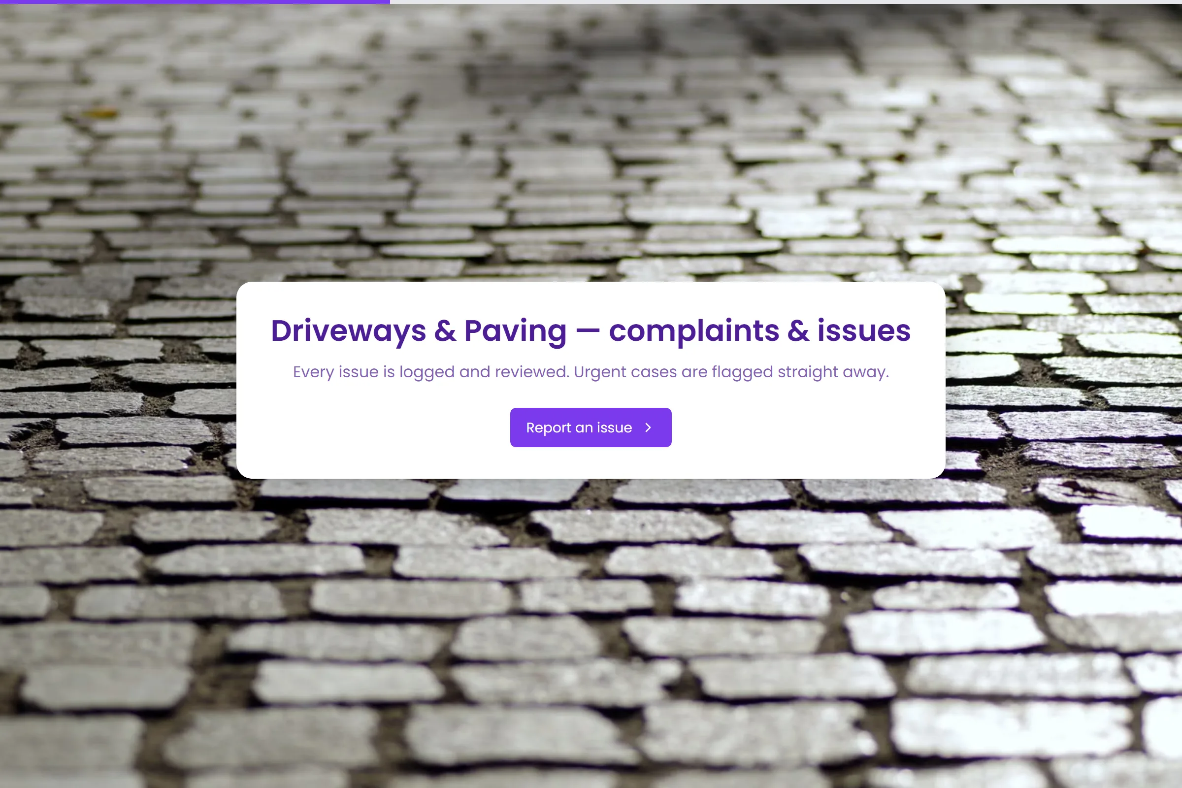 Driveways & Paving Complaint / Issue Form template preview
