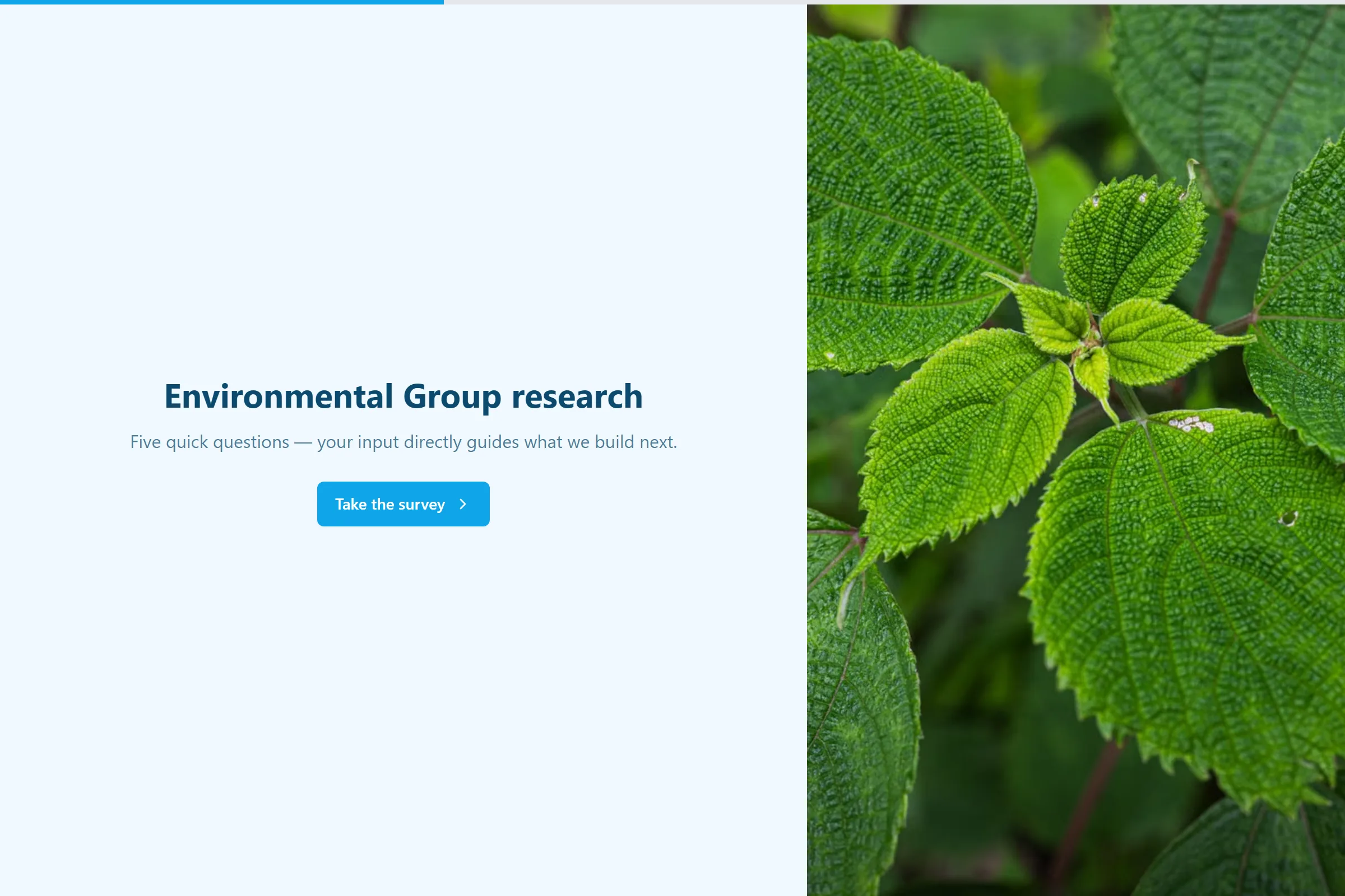 Environmental Group Market Research Survey template preview