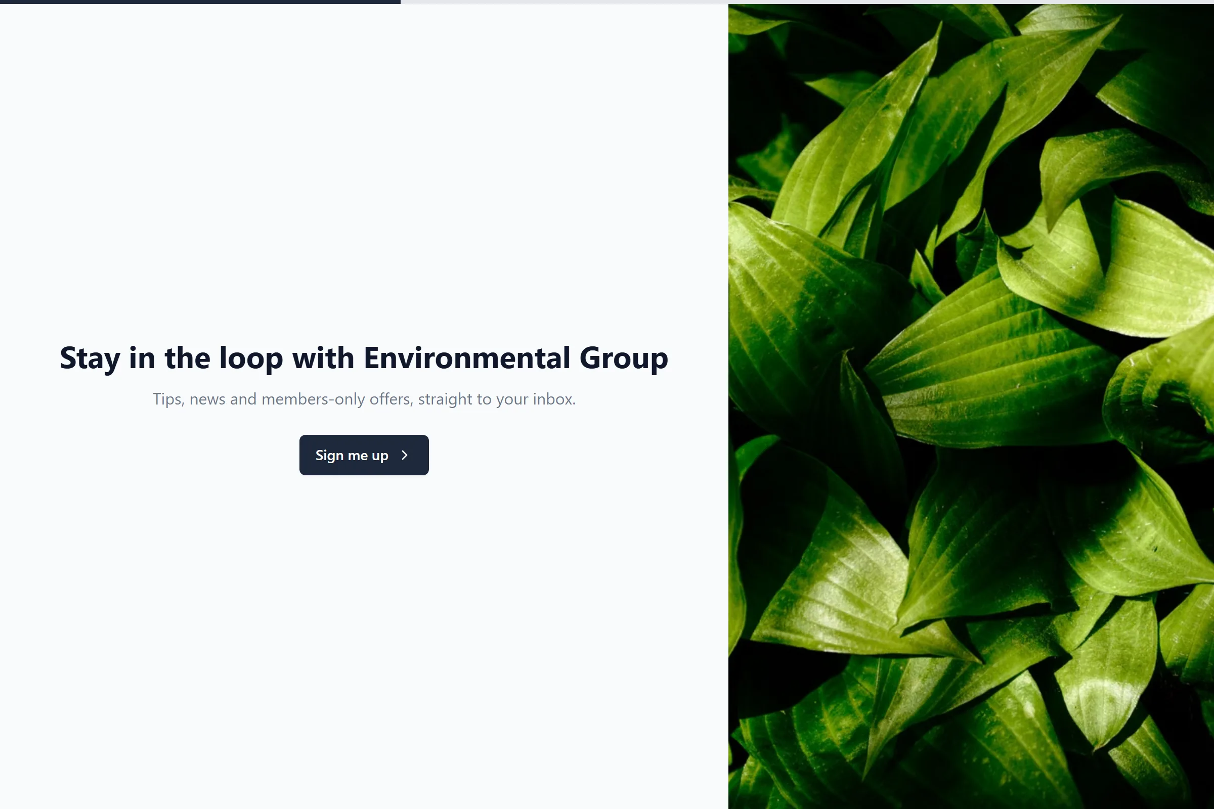 Environmental Group Newsletter & Updates Signup template preview