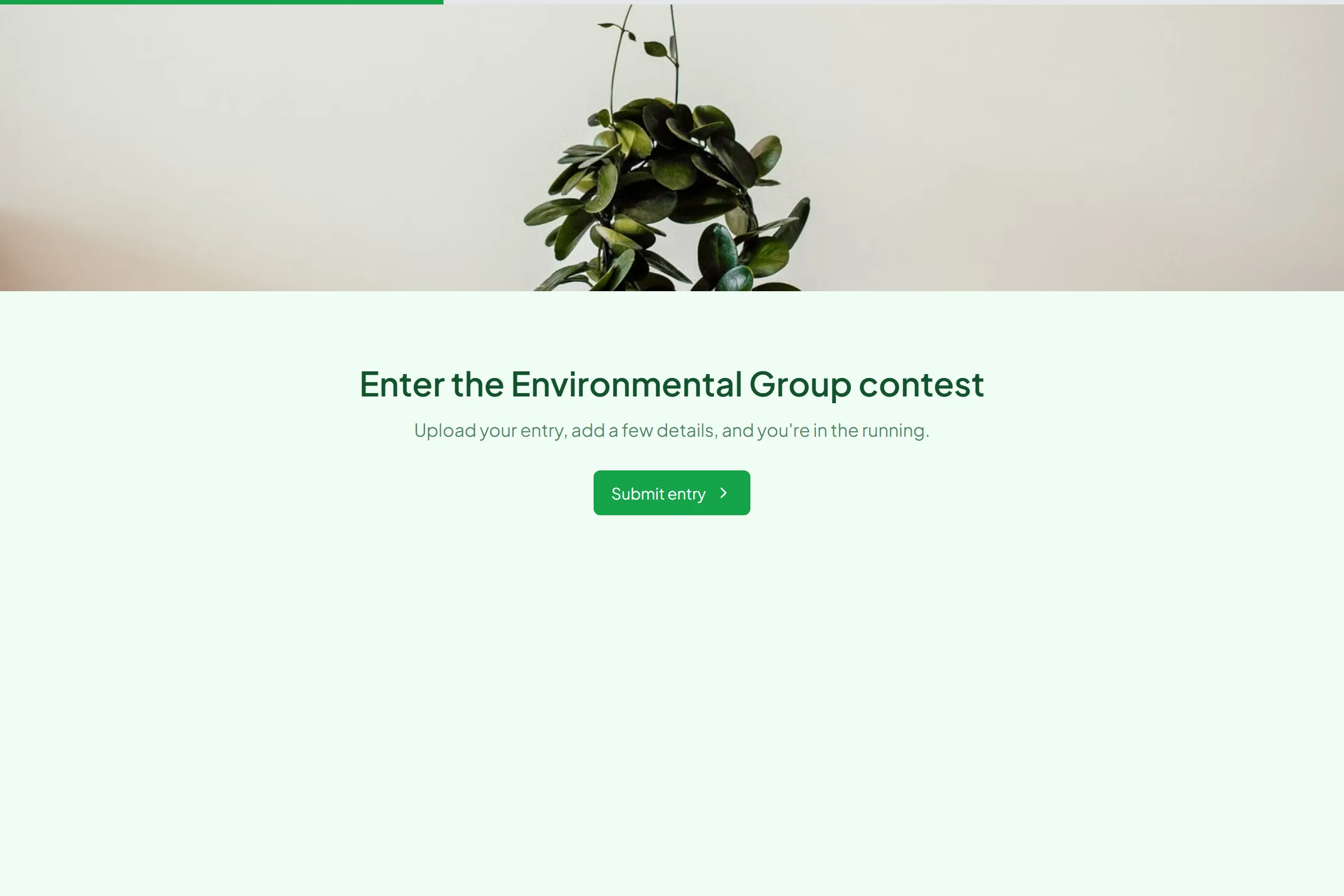 Environmental Group Photo Contest Entry template preview