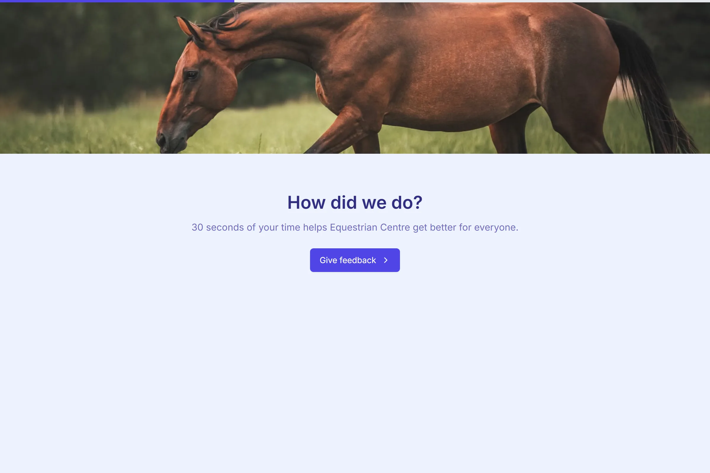 Equestrian Centre Quick Feedback template preview