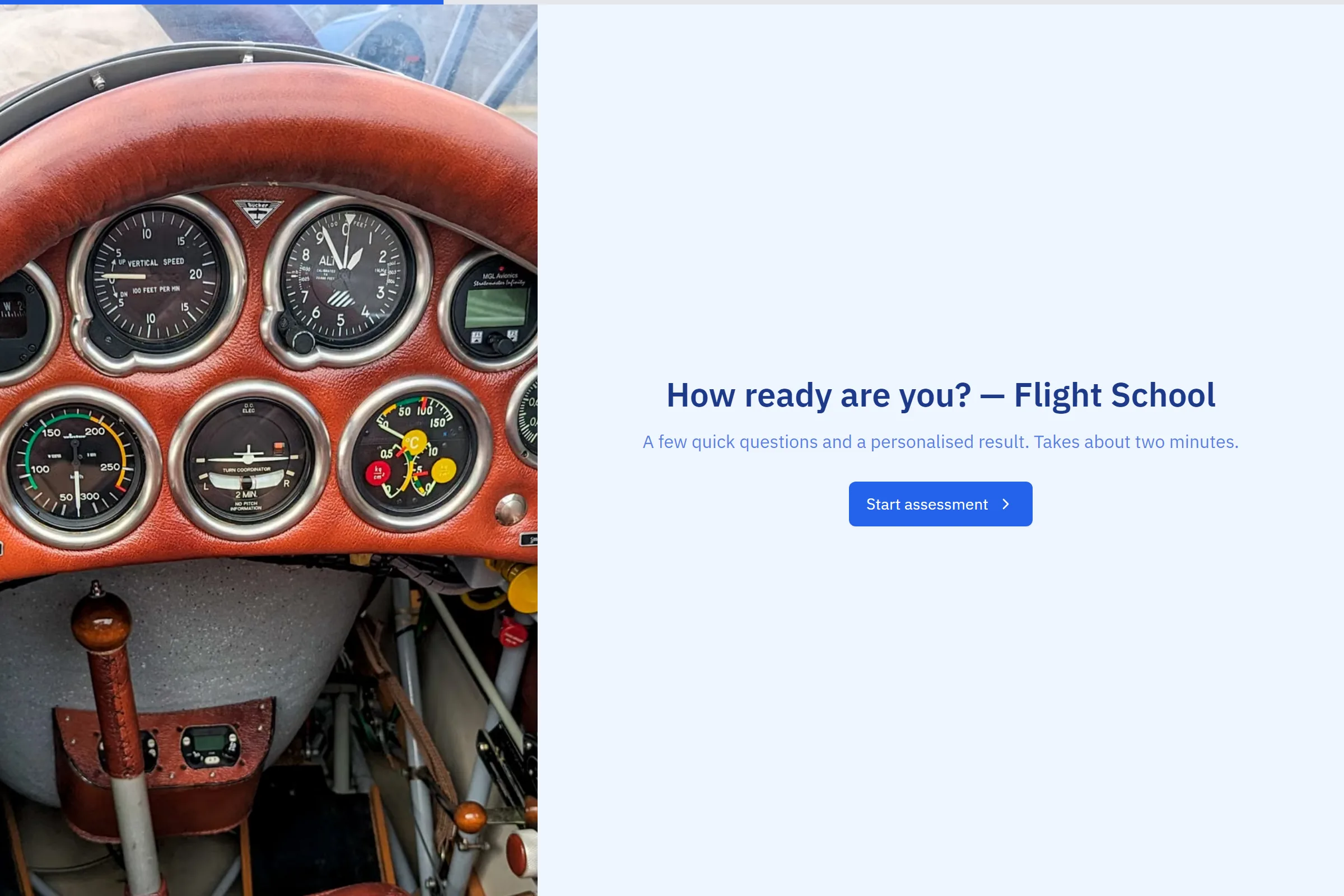 Flight School Skills & Goals Assessment template preview