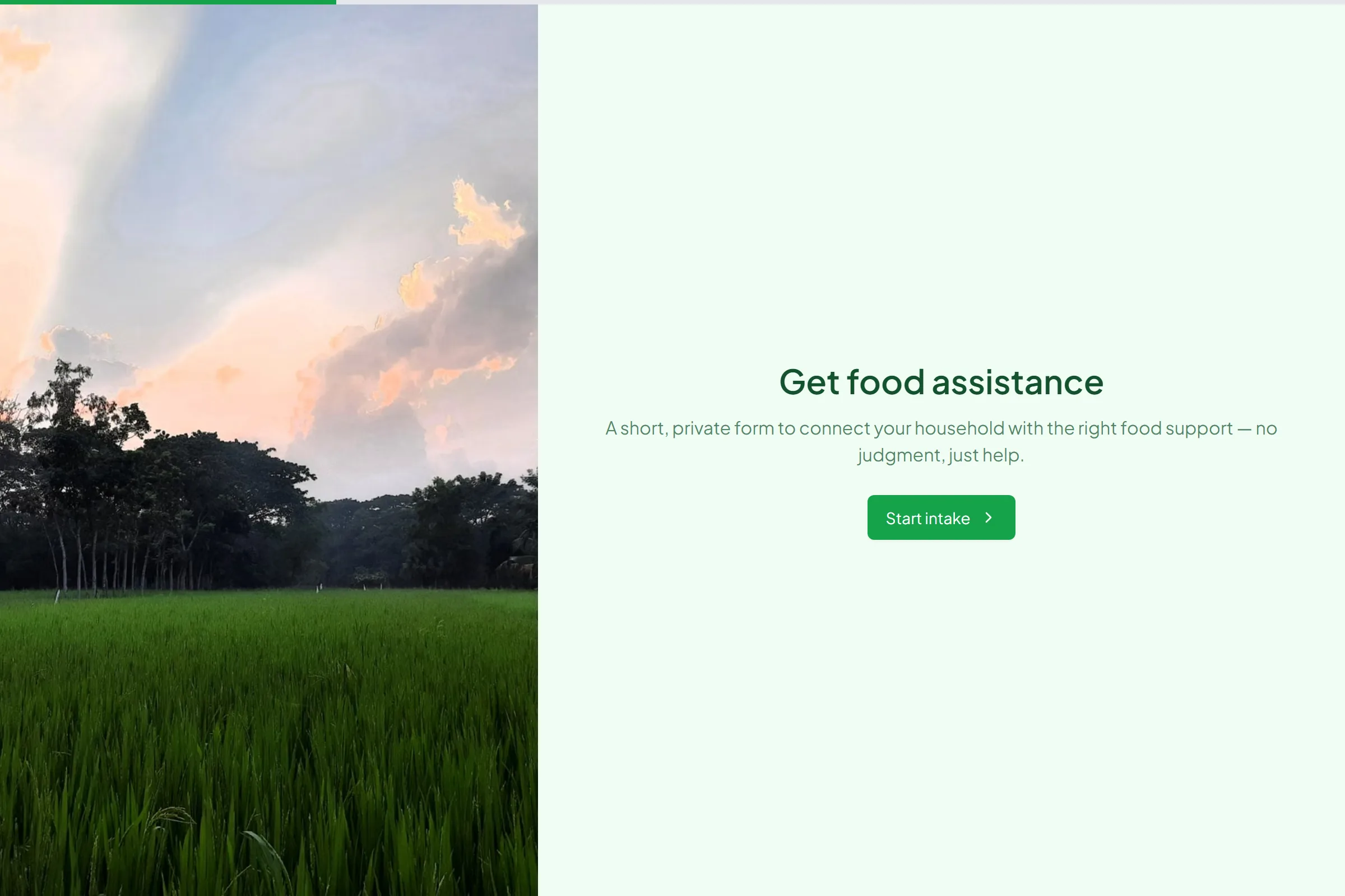 Food Assistance Intake template preview