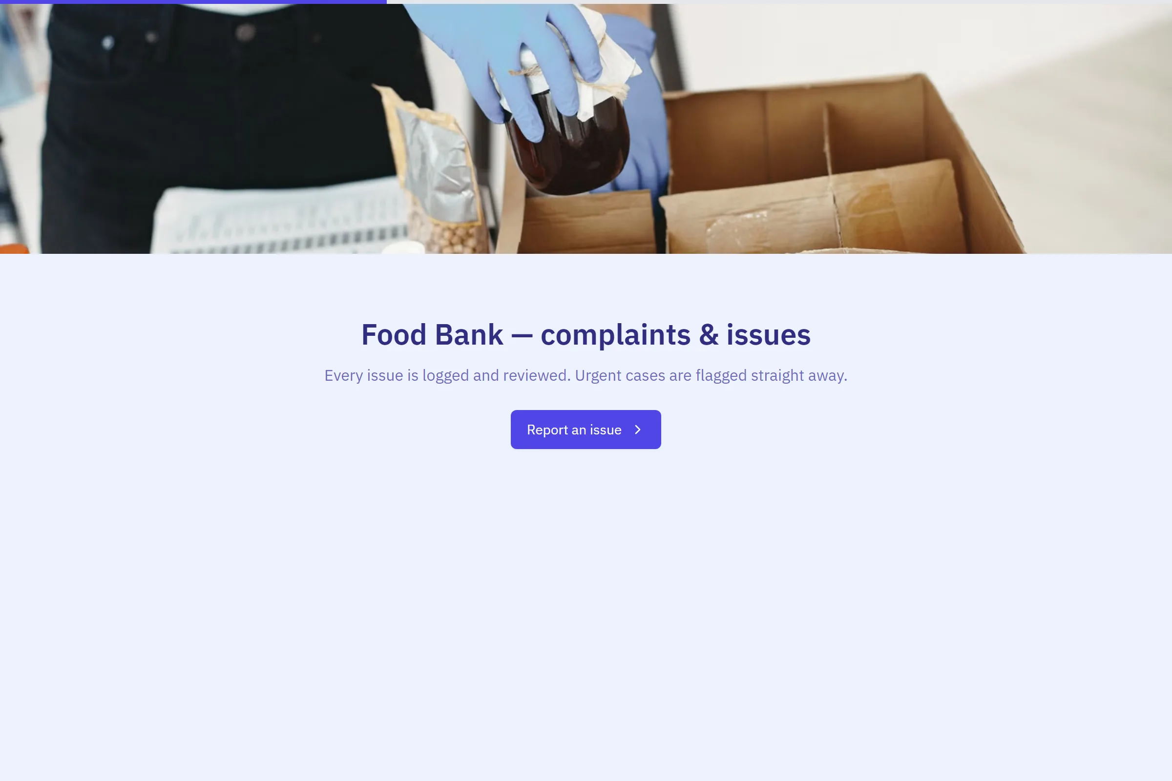 Food Bank Complaint / Issue Form template preview