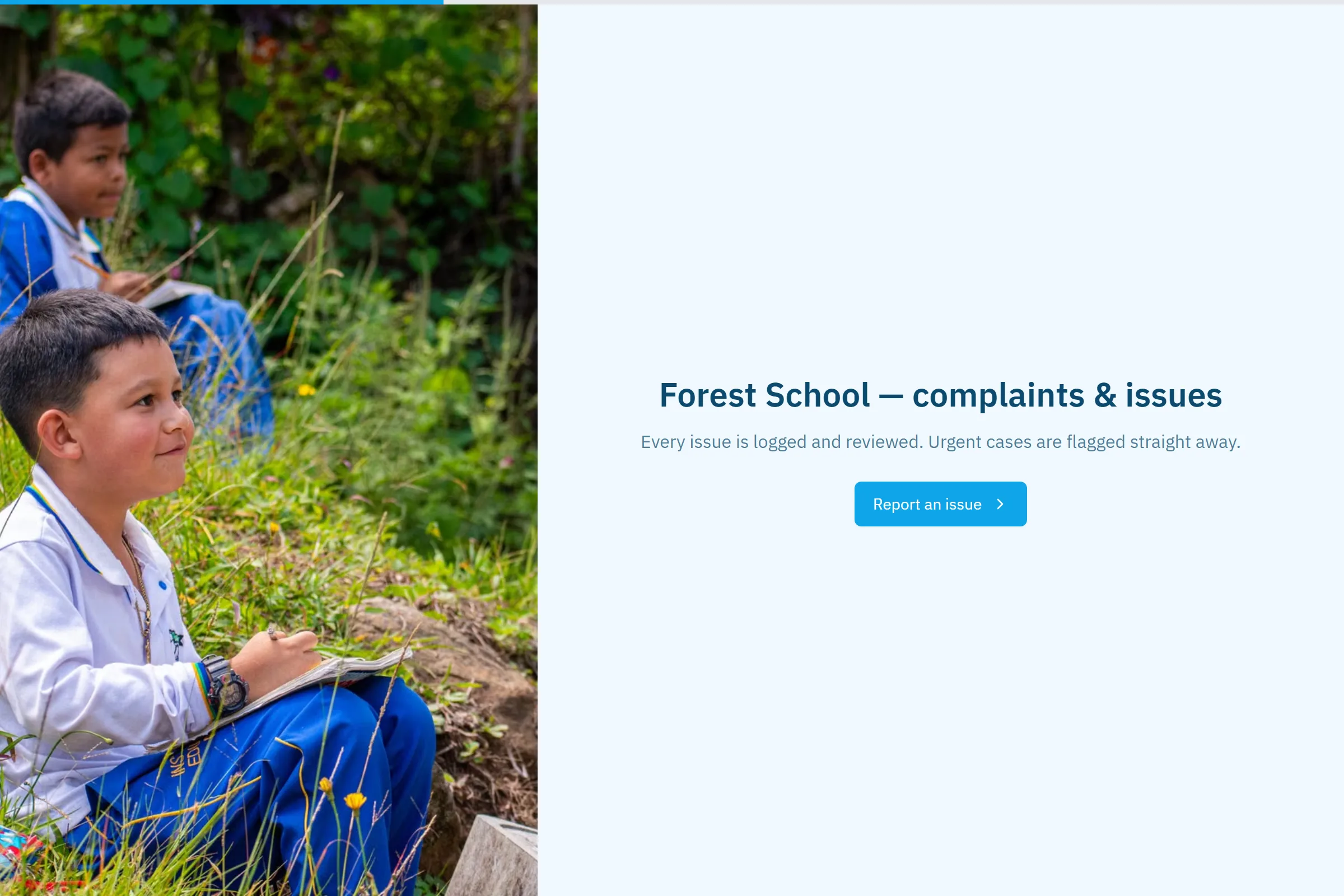 Forest School Complaint / Issue Form template preview