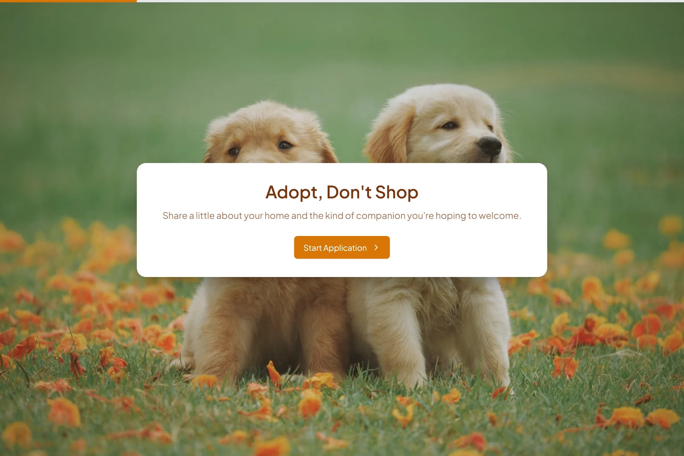 Forever Home Adoption Application template preview