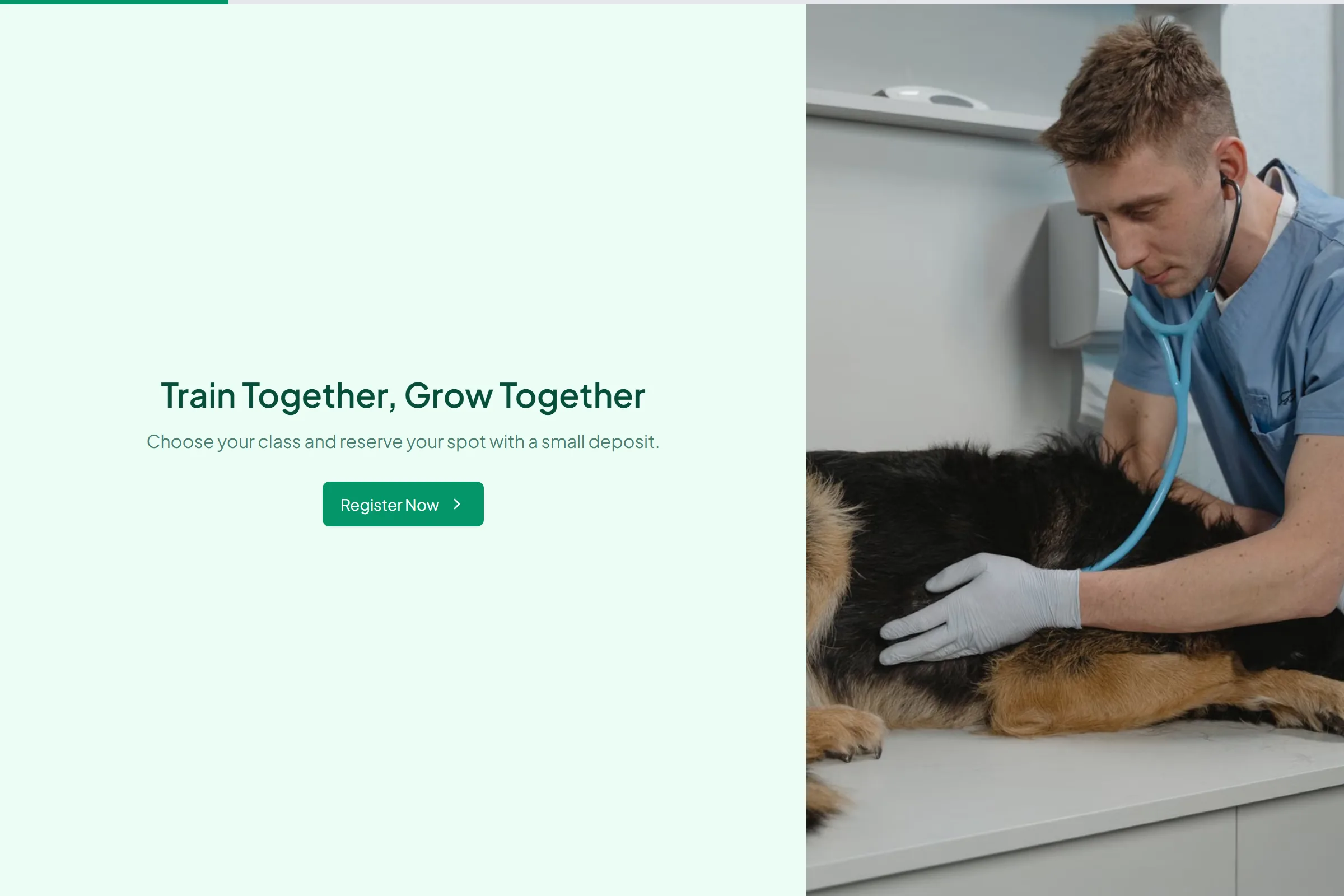 Good Boy Training Class Registration template preview