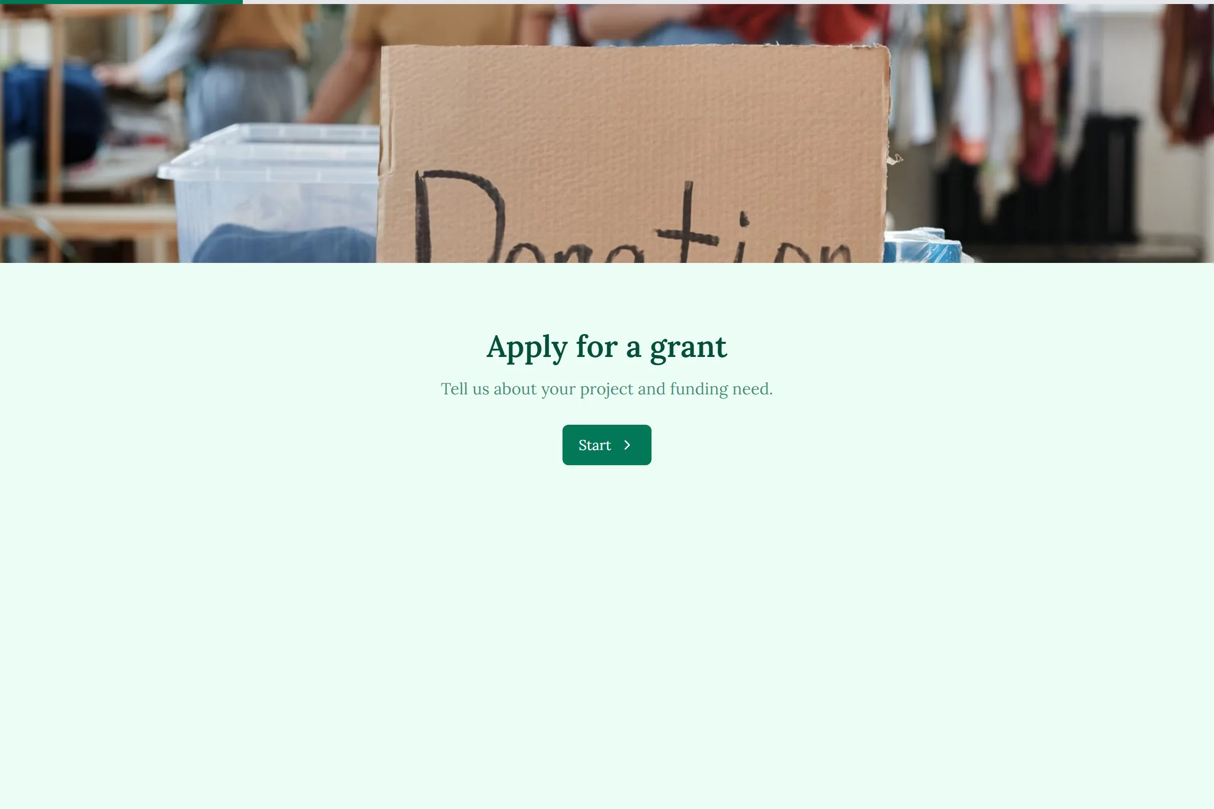 Grant Application template preview