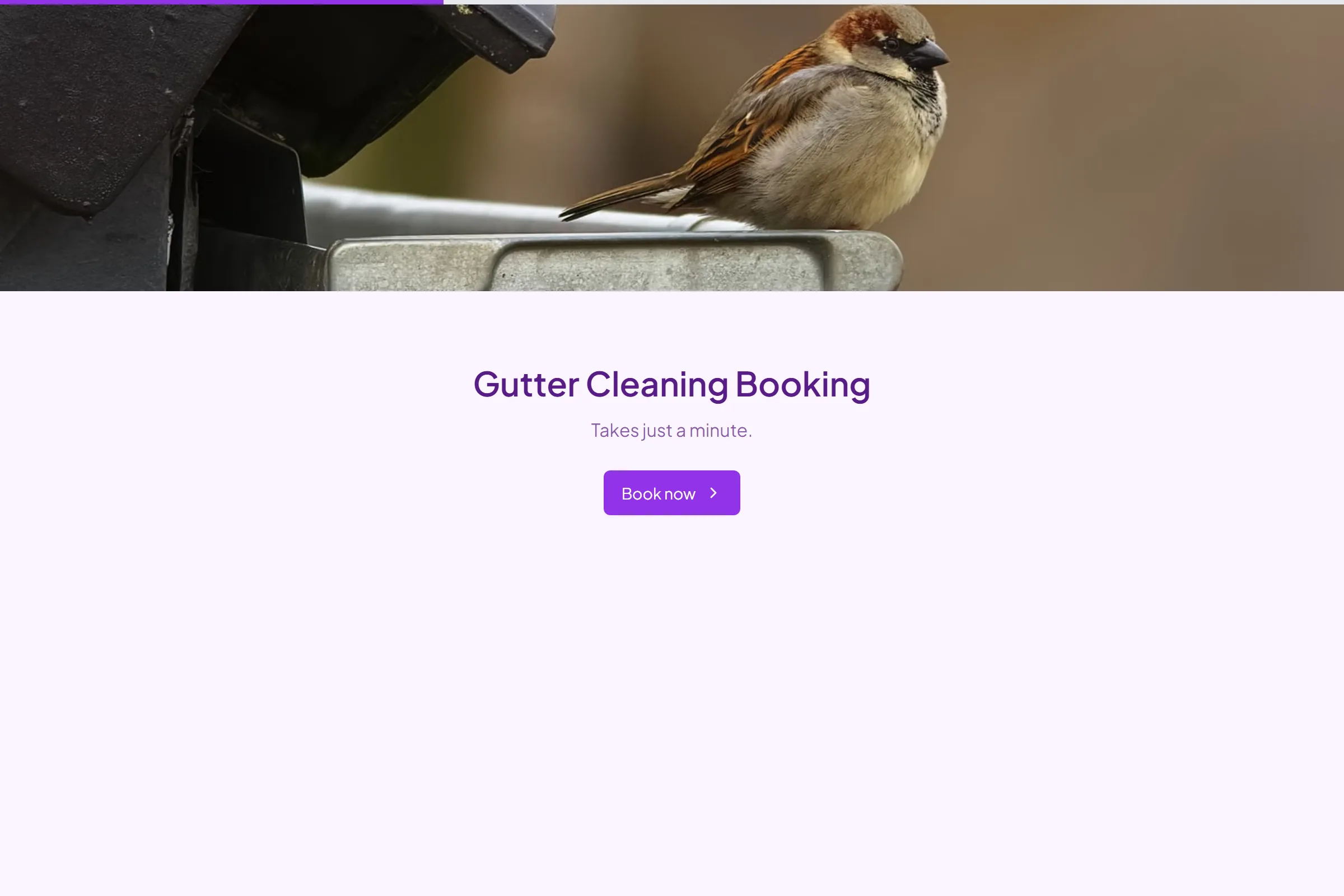 Gutter Cleaning Booking template preview