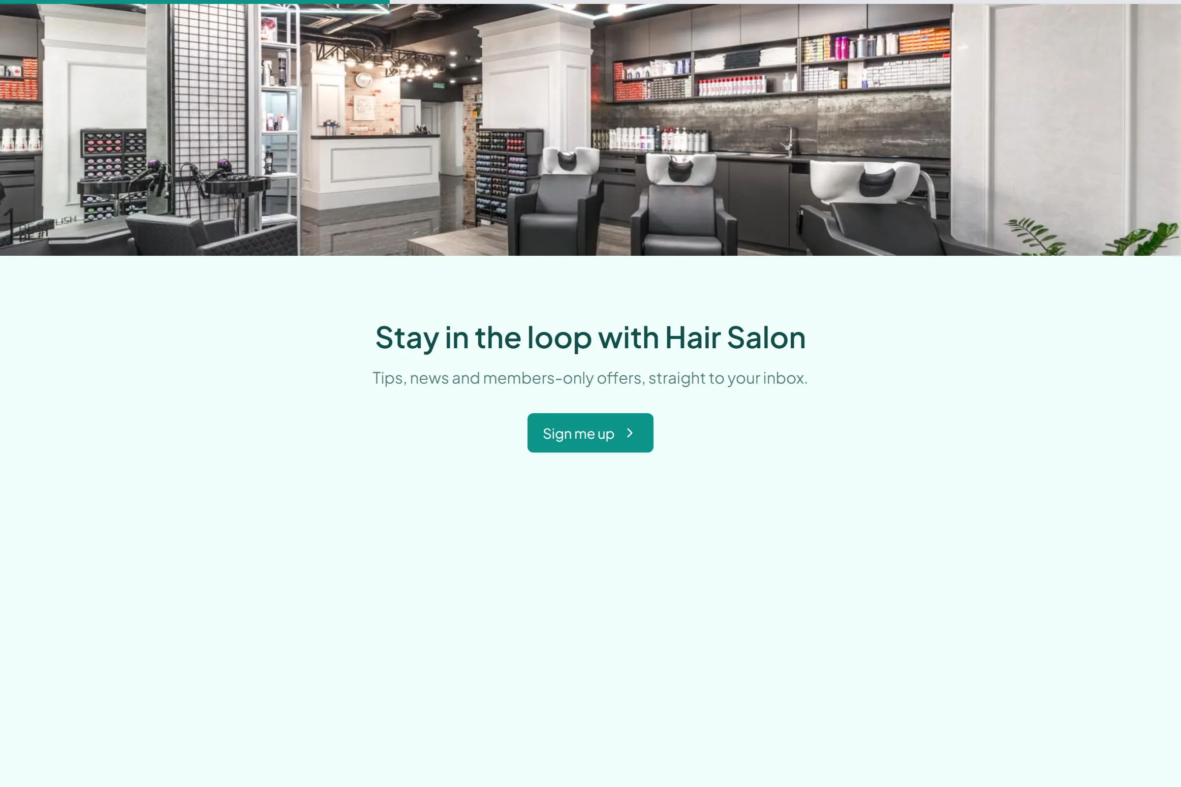 Hair Salon Newsletter & Updates Signup template preview
