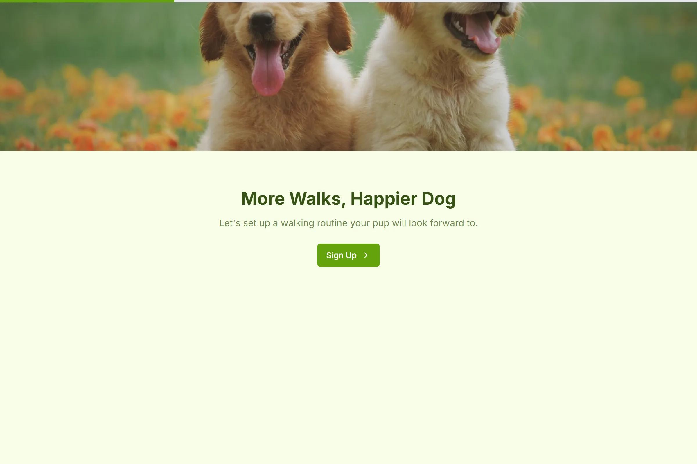 Happy Tails Dog Walking Signup template preview