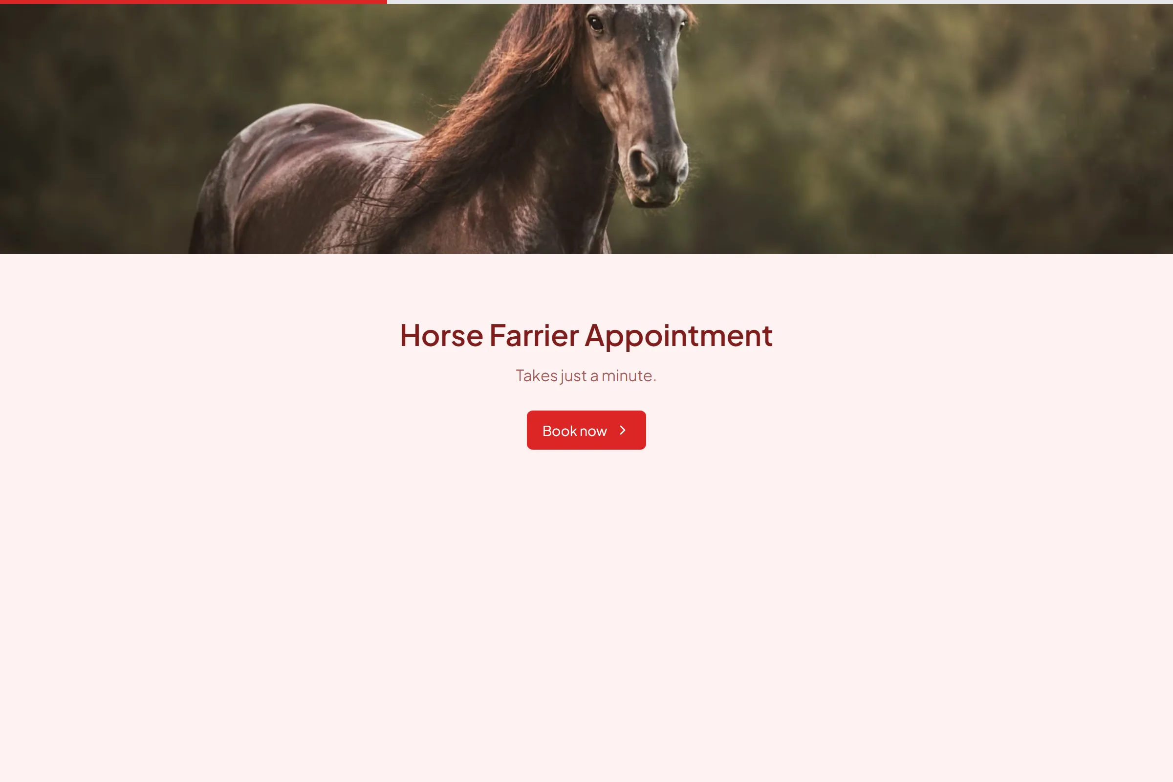 Horse Farrier Appointment template preview