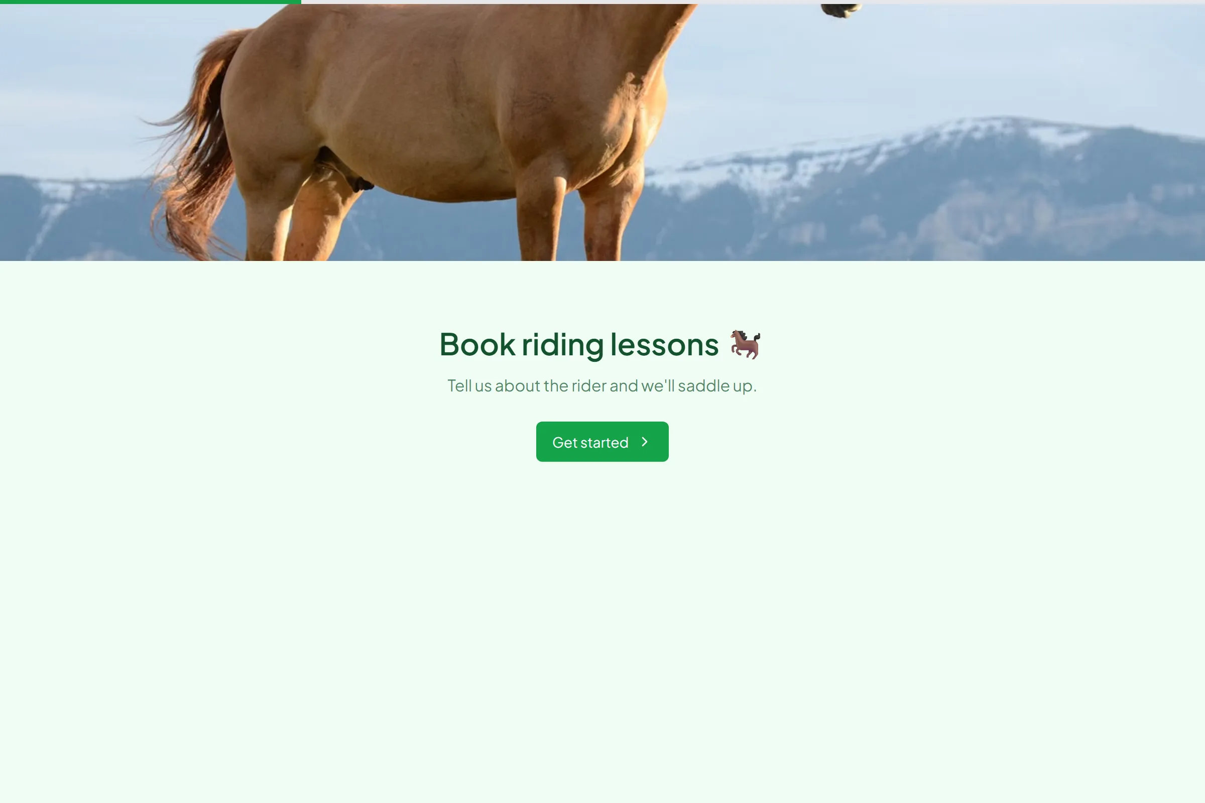 Horse Riding Lessons template preview