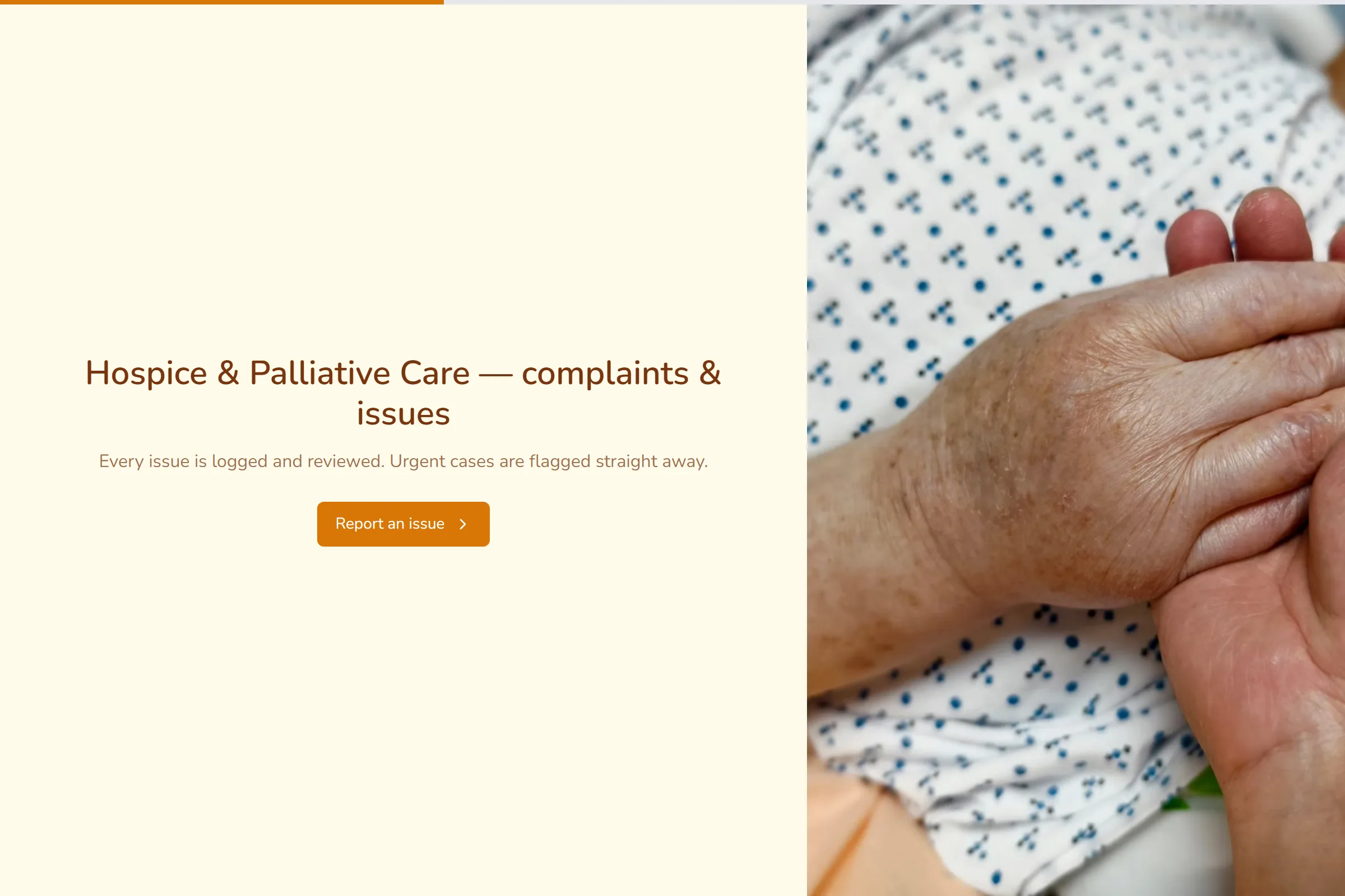 Hospice & Palliative Care Complaint / Issue Form template preview