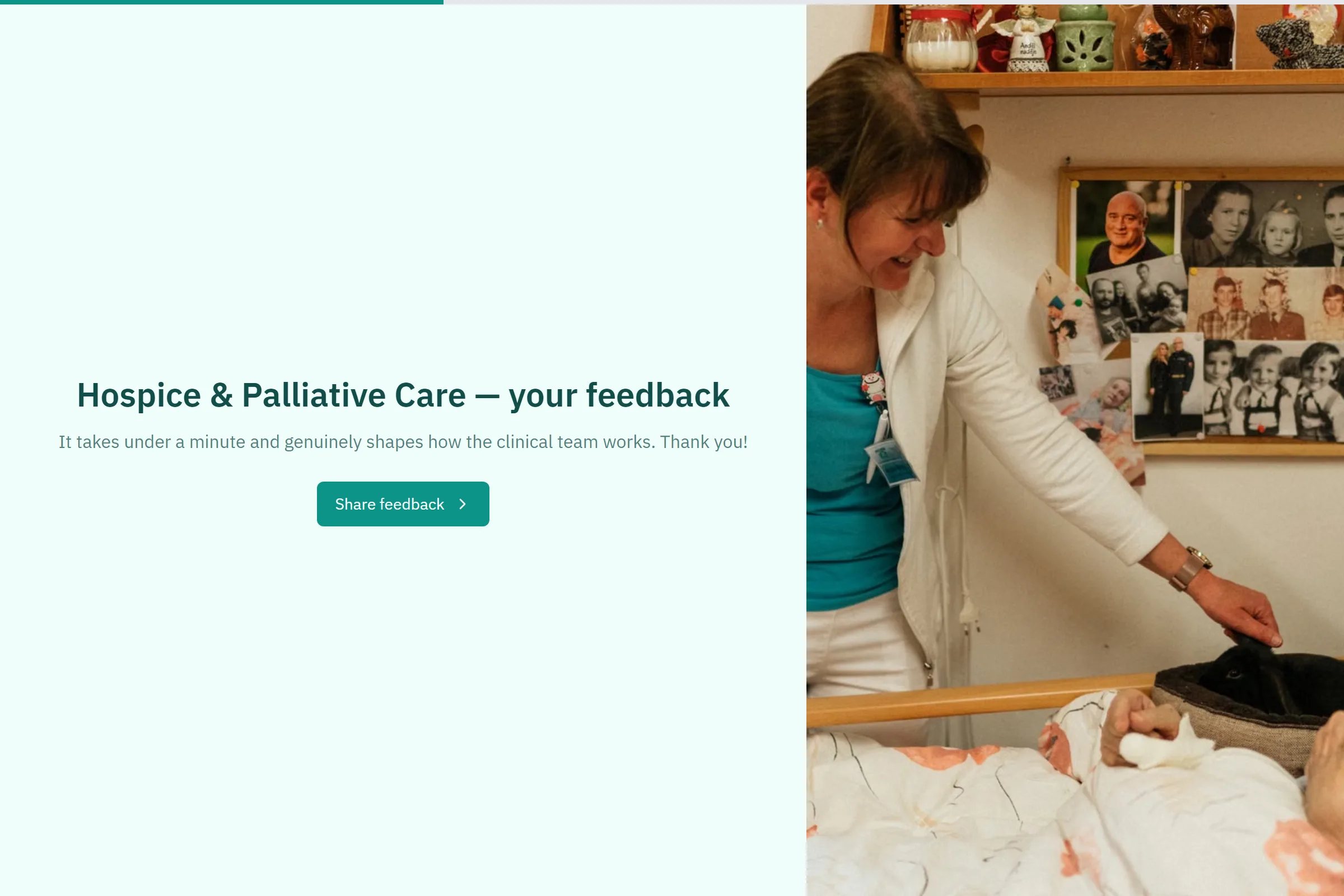 Hospice & Palliative Care Satisfaction Survey template preview