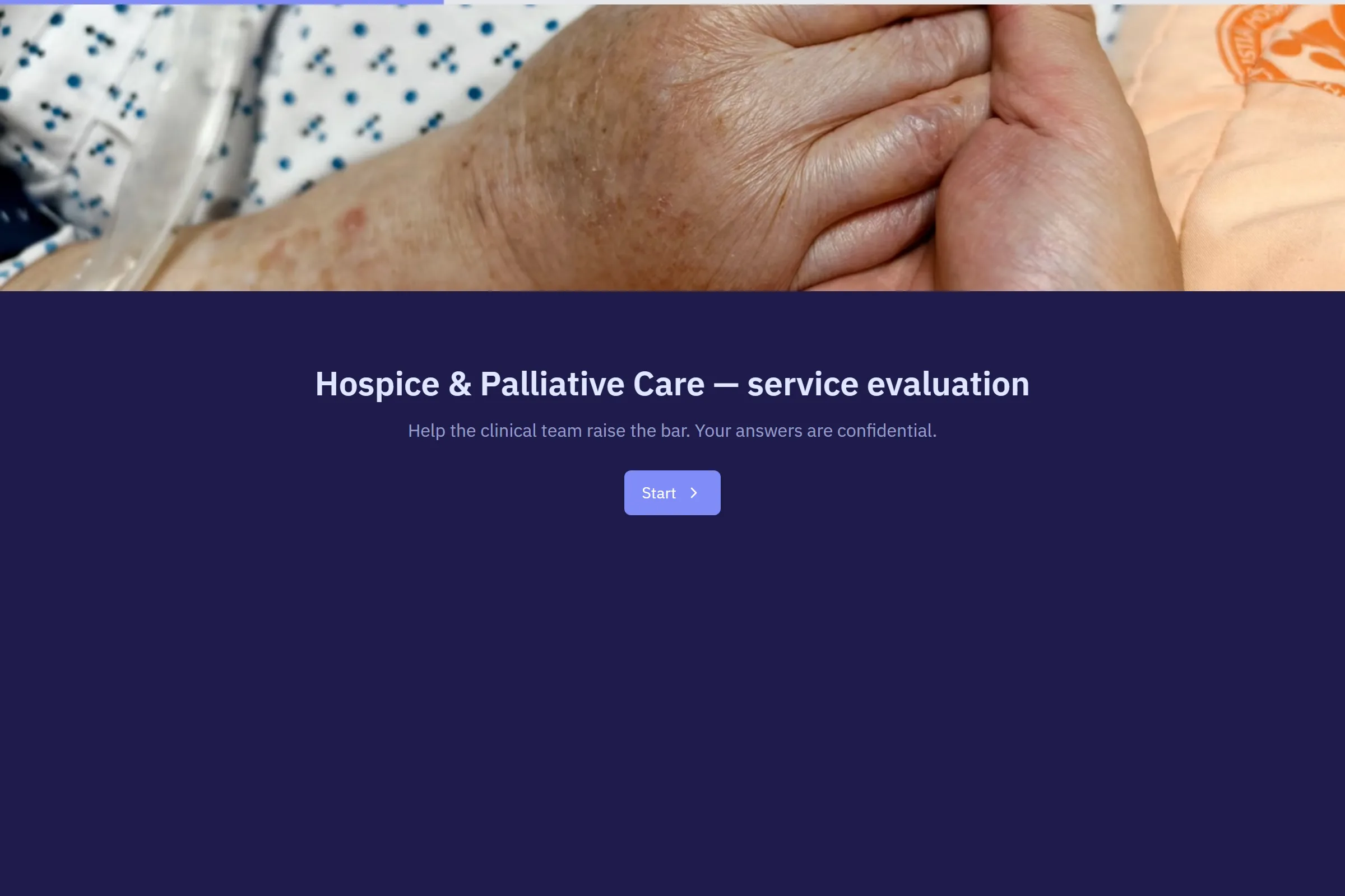 Hospice & Palliative Care Service Evaluation template preview