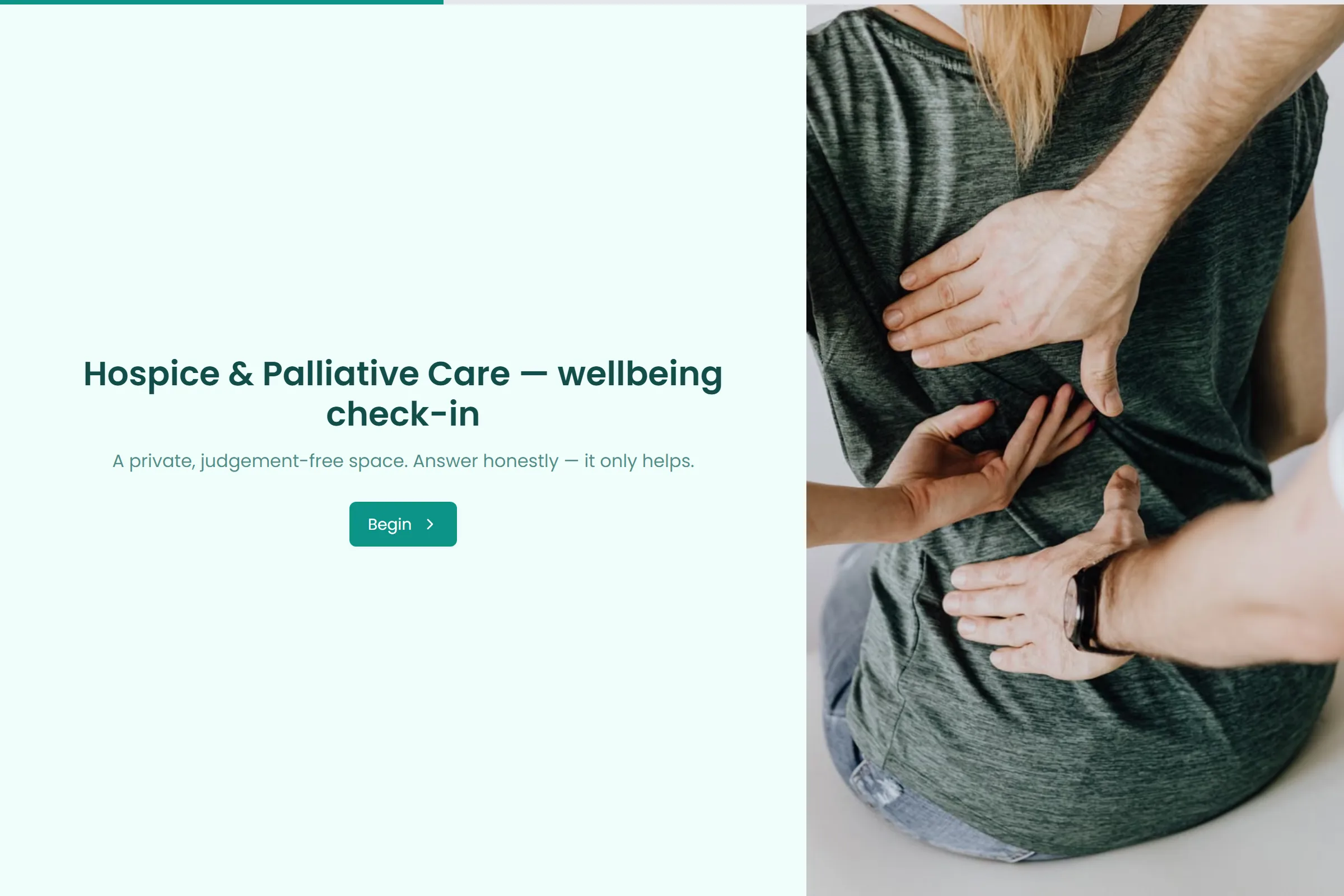 Hospice & Palliative Care Wellbeing Check-in template preview