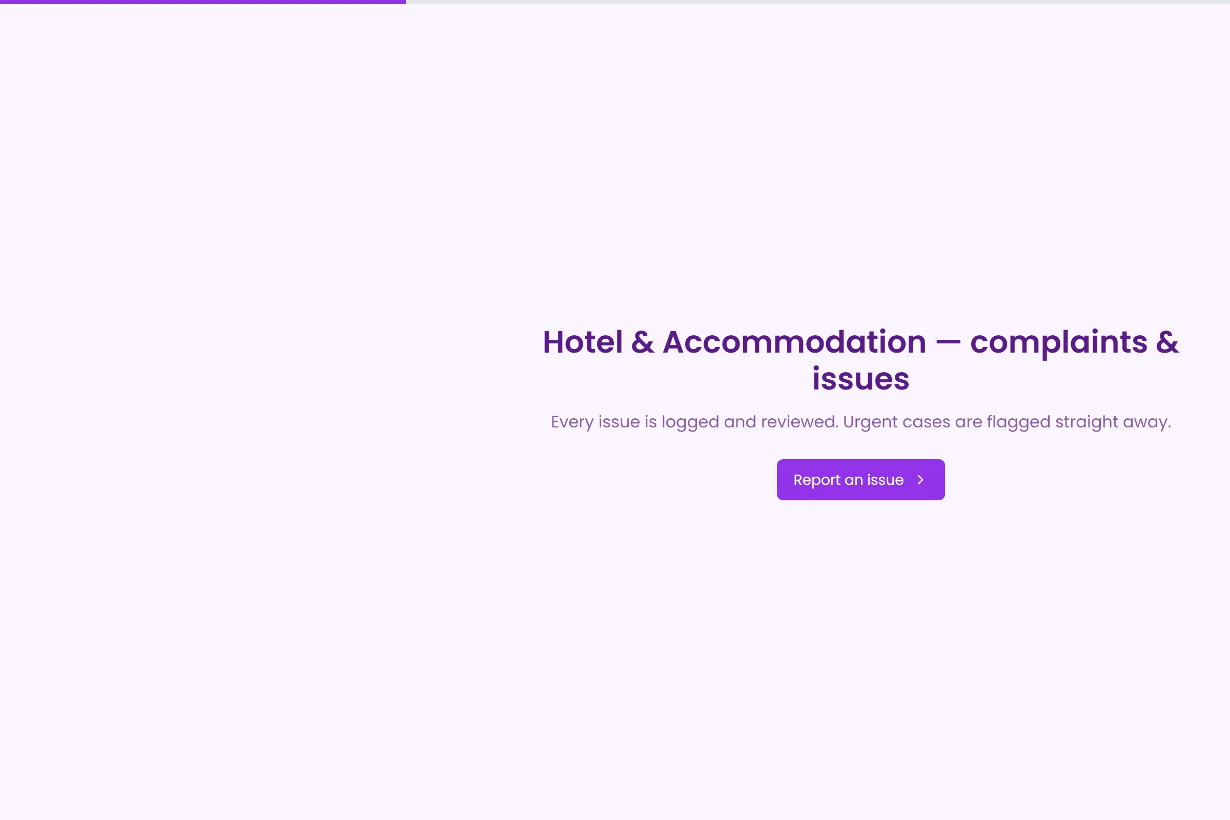 Hotel & Accommodation Complaint / Issue Form template preview