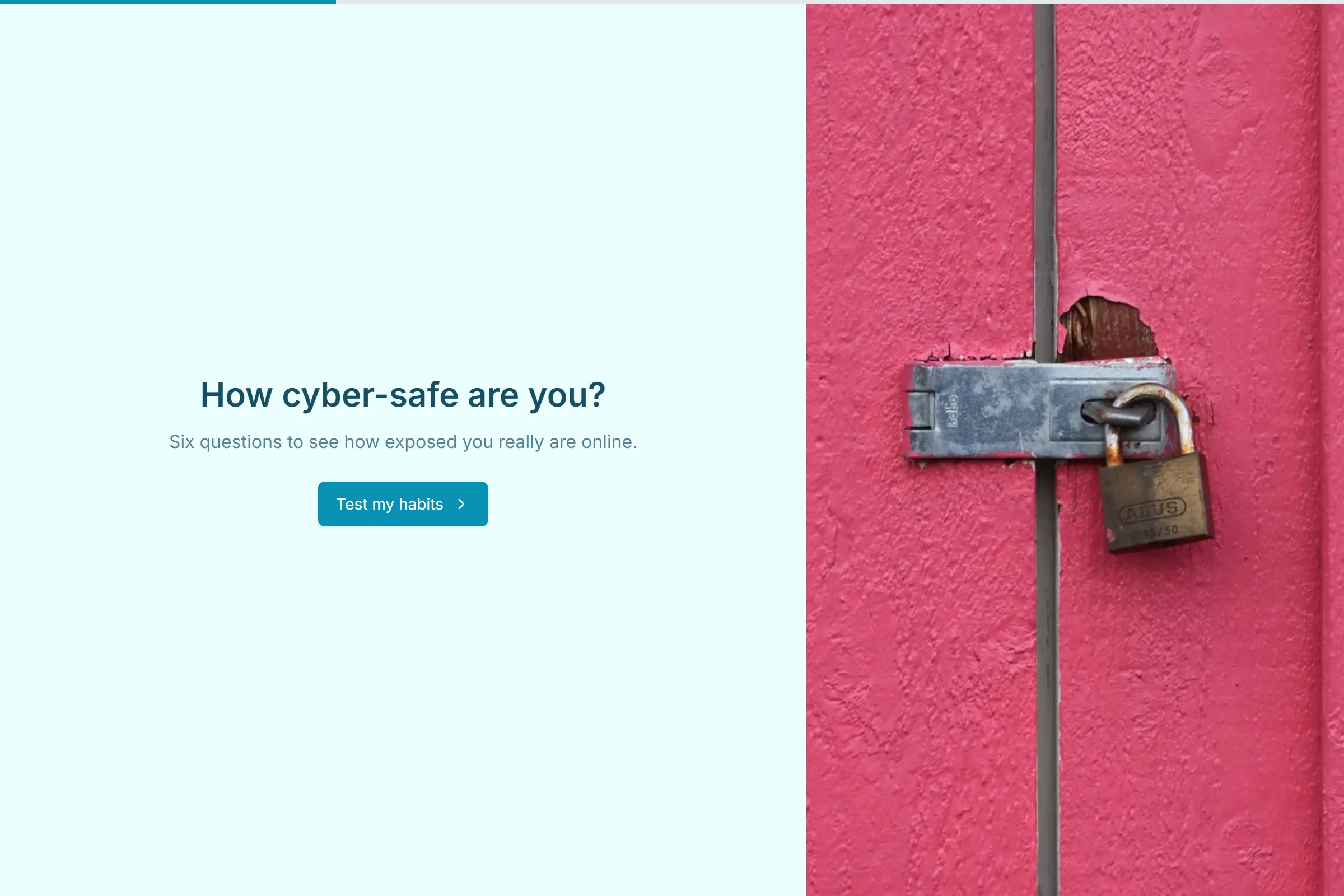 How Cyber-Safe Are You? template preview