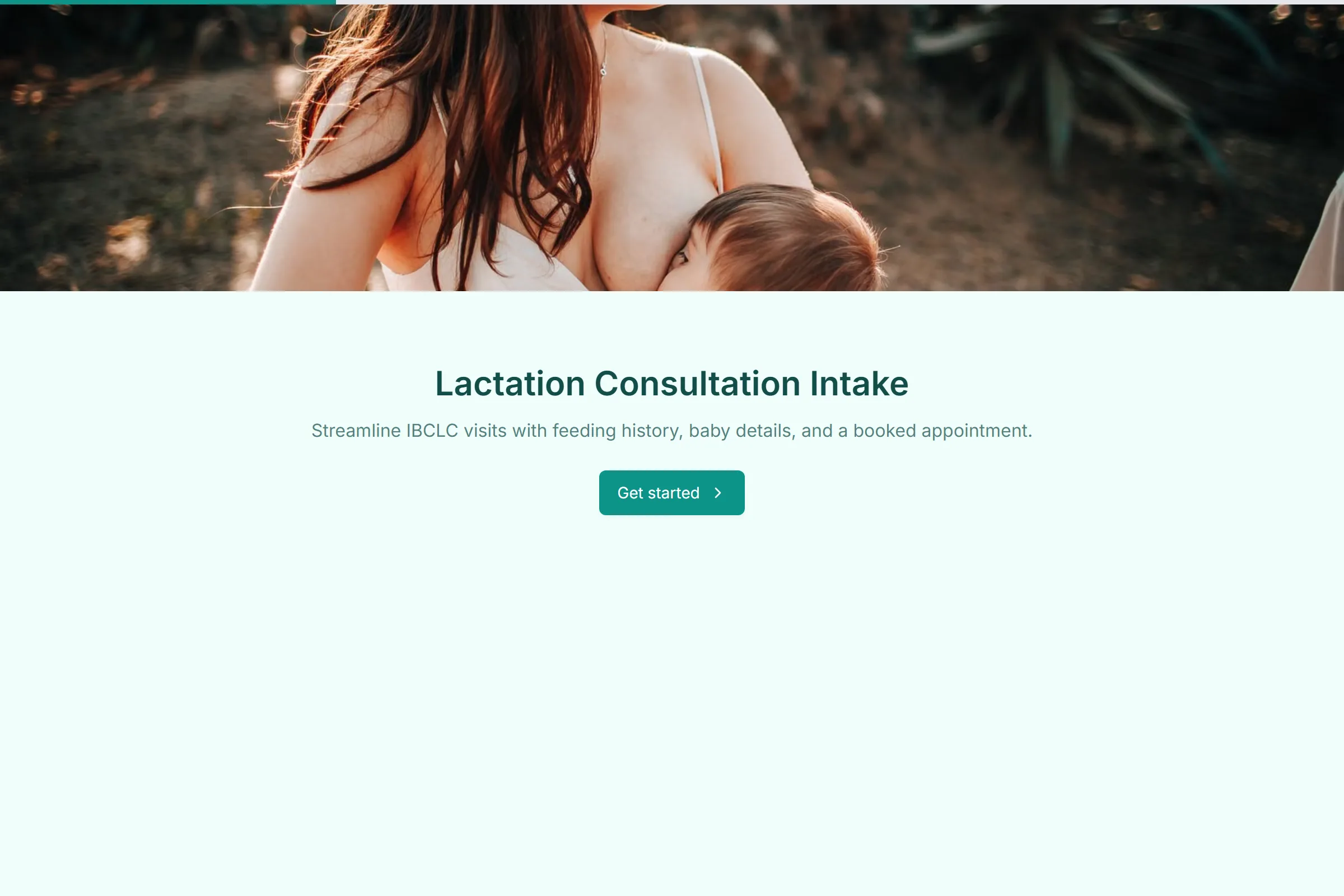 Lactation Consultation Intake template preview