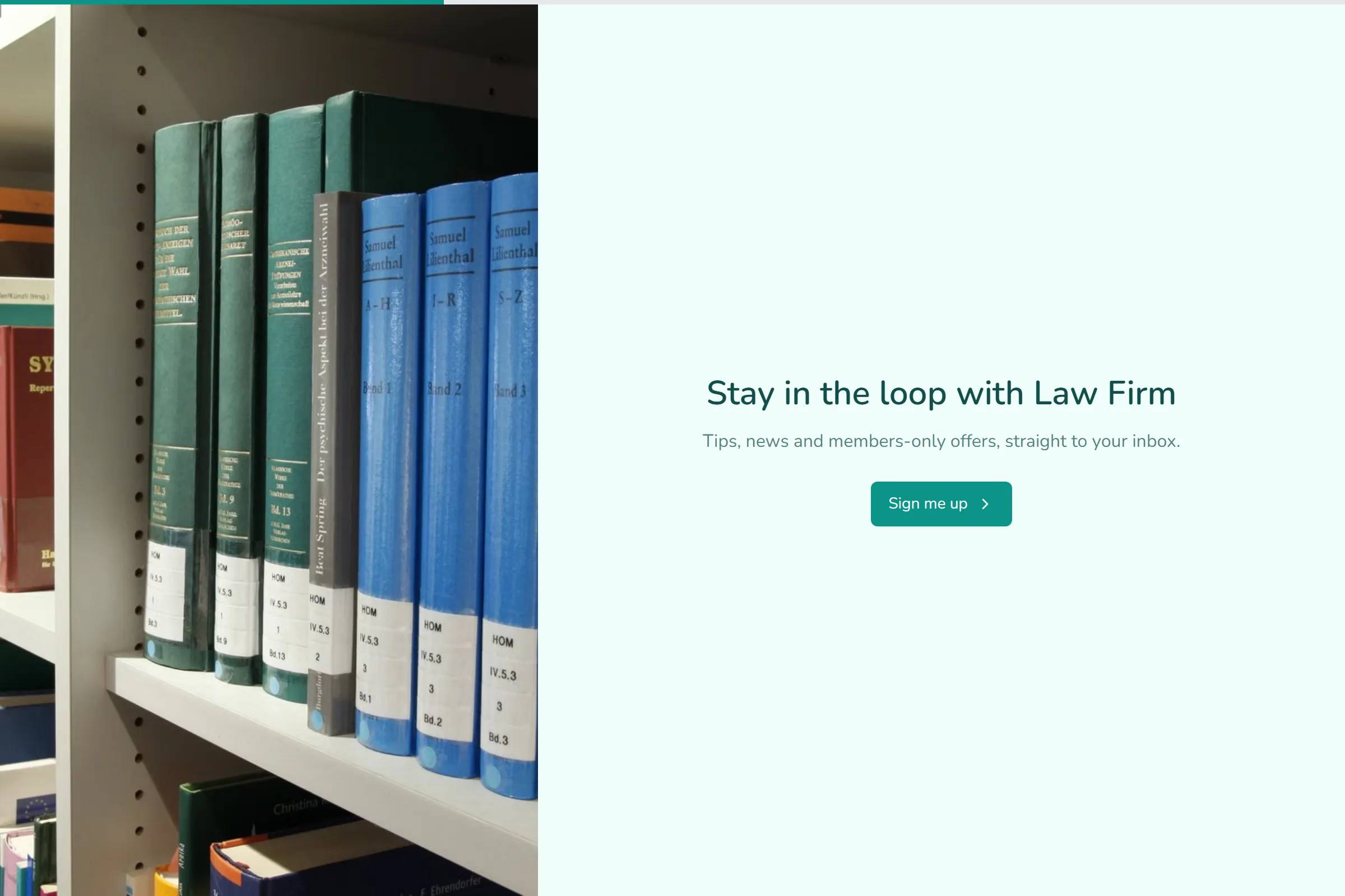 Law Firm Newsletter & Updates Signup template preview