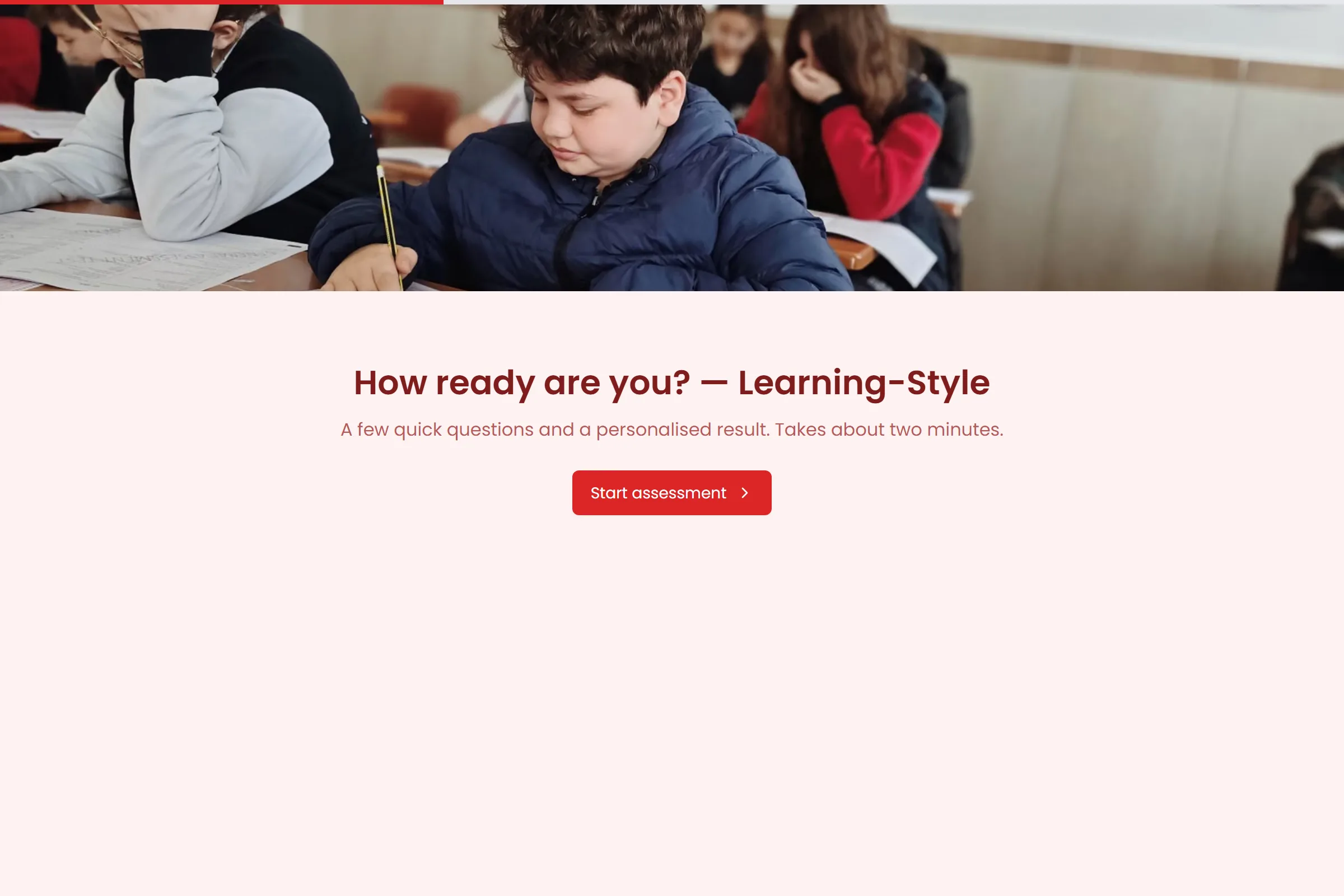 Learning-Style Assessment template preview