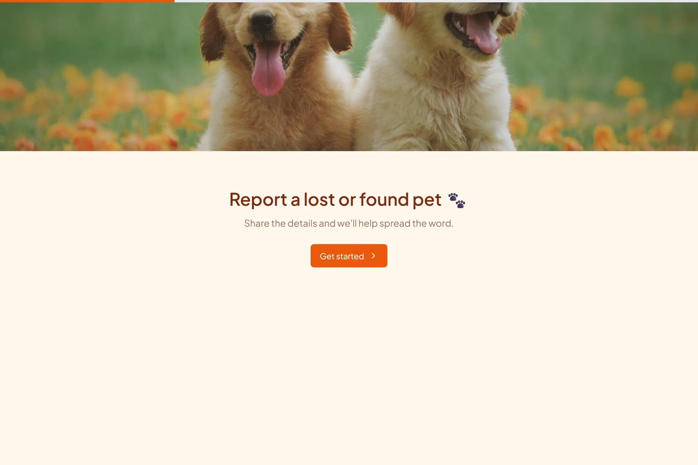 Lost & Found Pet Report template preview