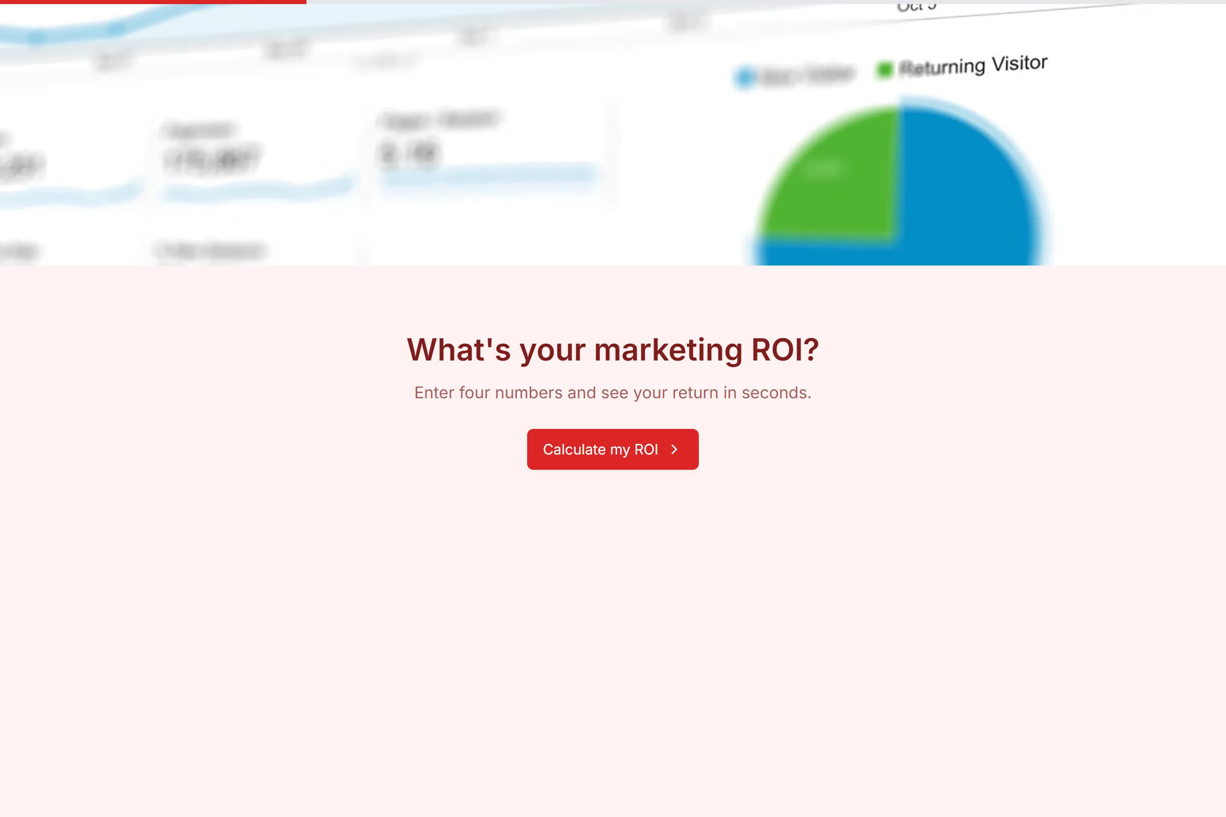 Marketing ROI Calculator template preview