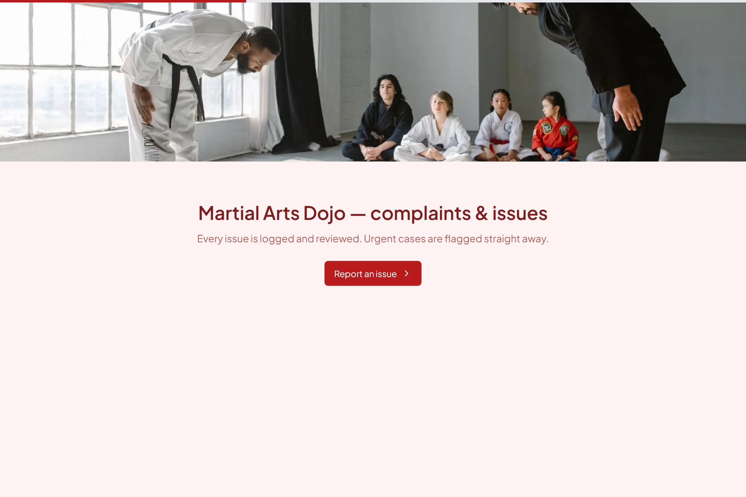 Martial Arts Dojo Complaint / Issue Form template preview