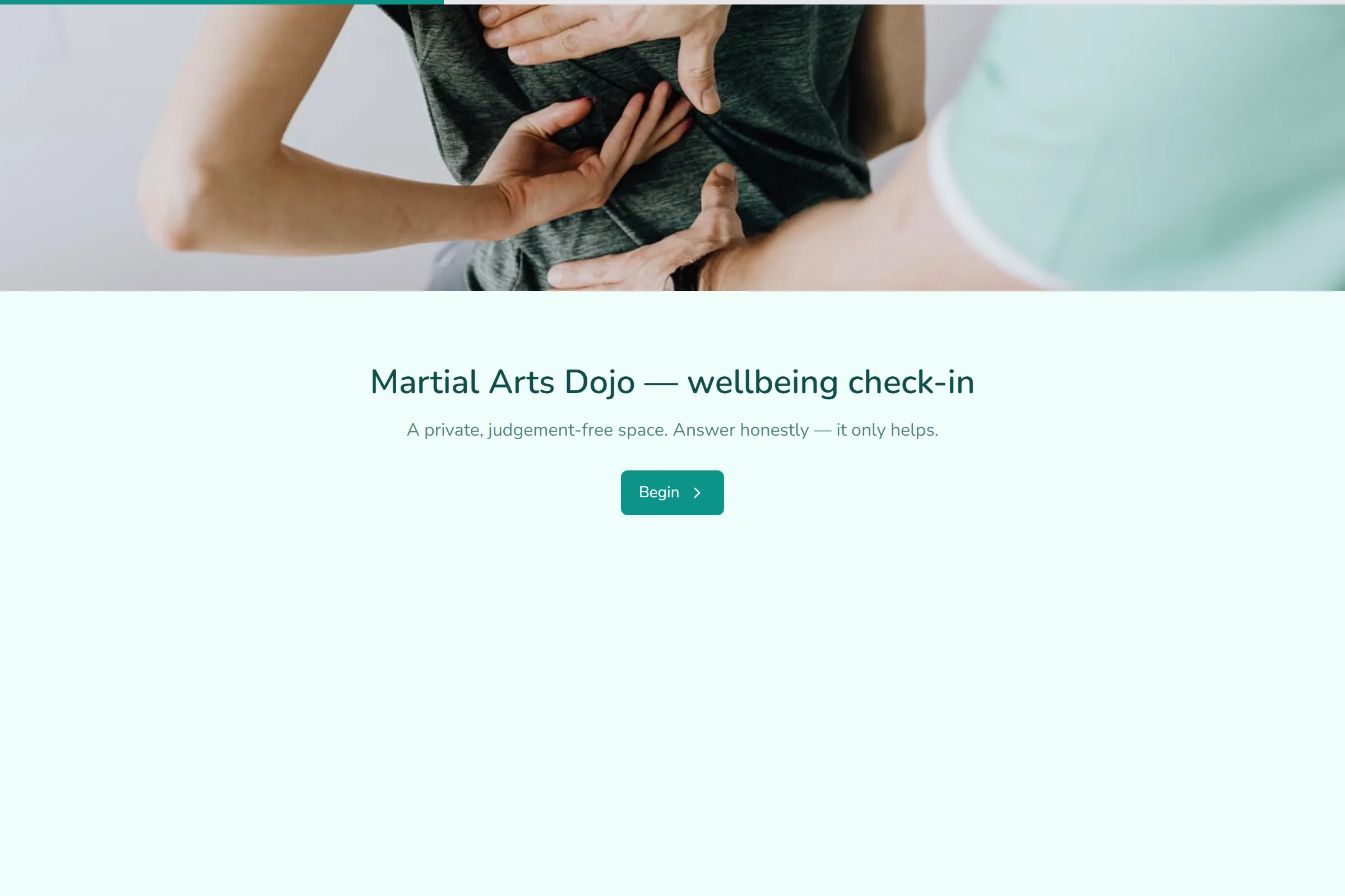Martial Arts Dojo Wellbeing Check-in template preview