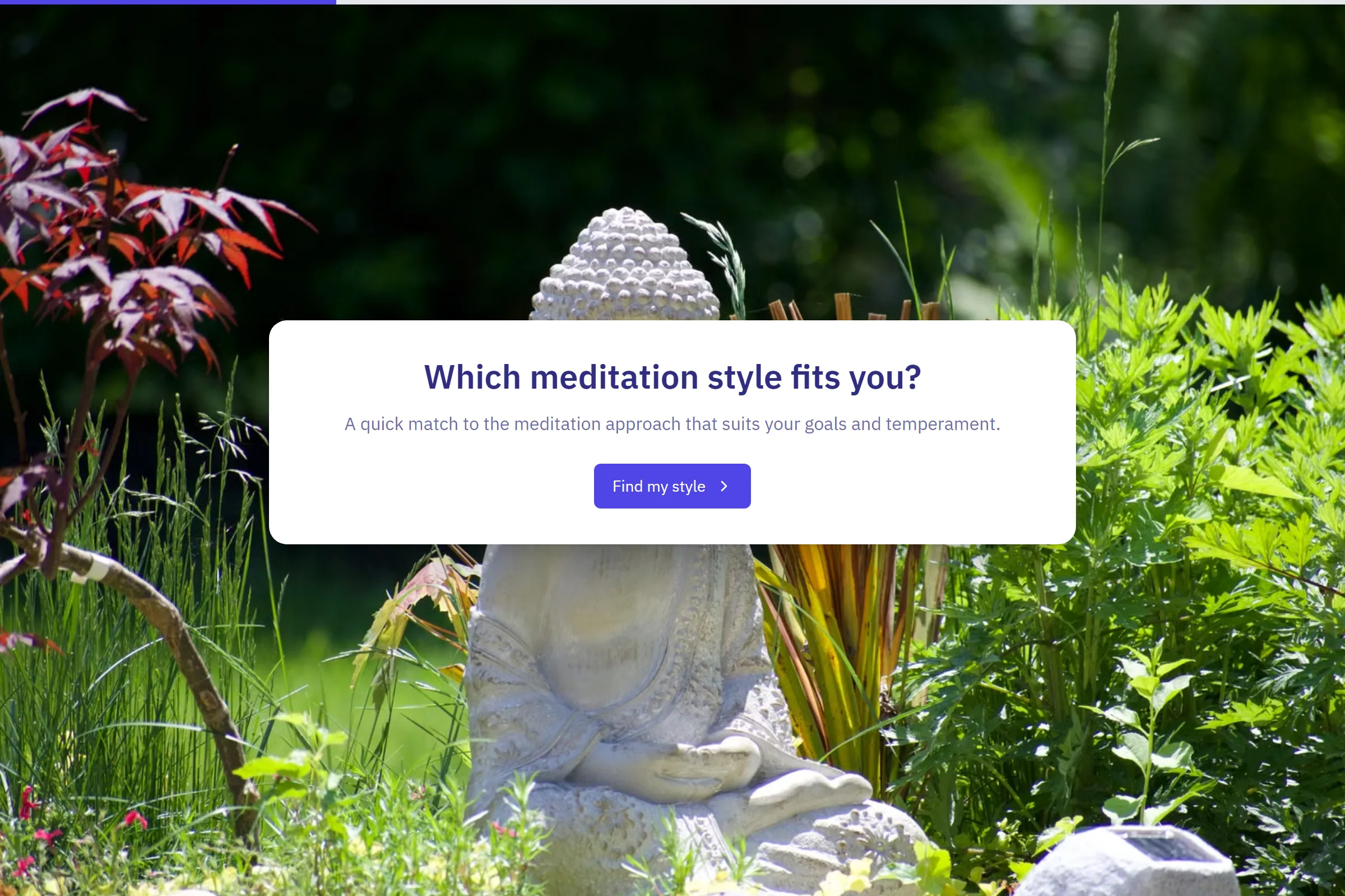 Meditation Style Finder template preview