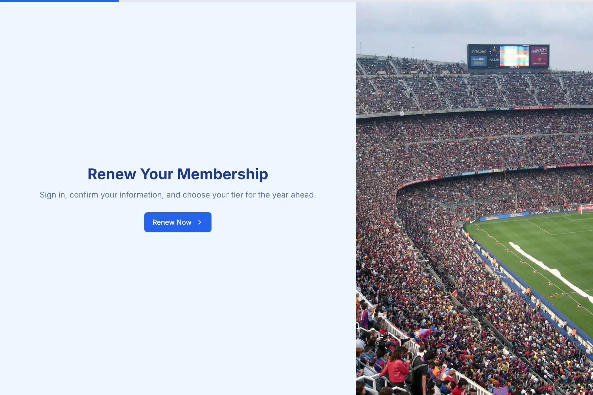 Annual Membership Renewal template preview