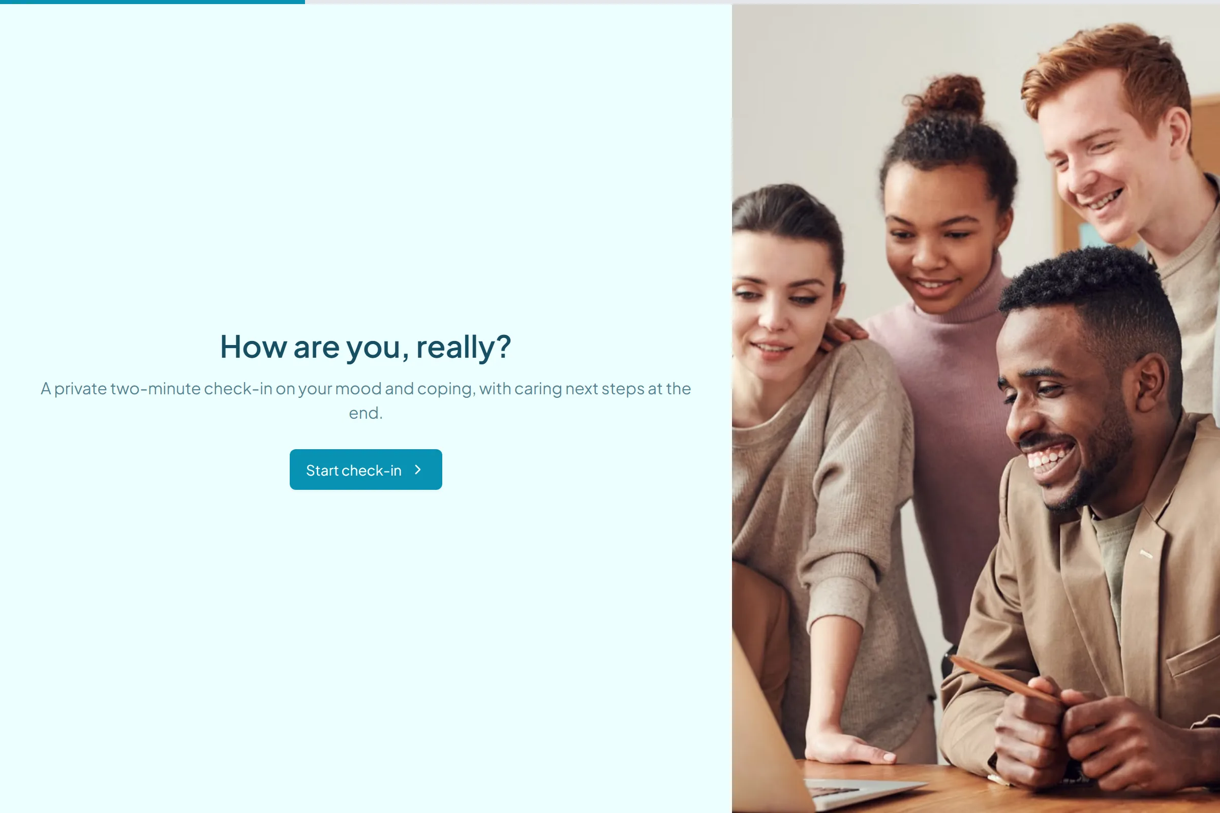 Mental Wellness Check-In template preview