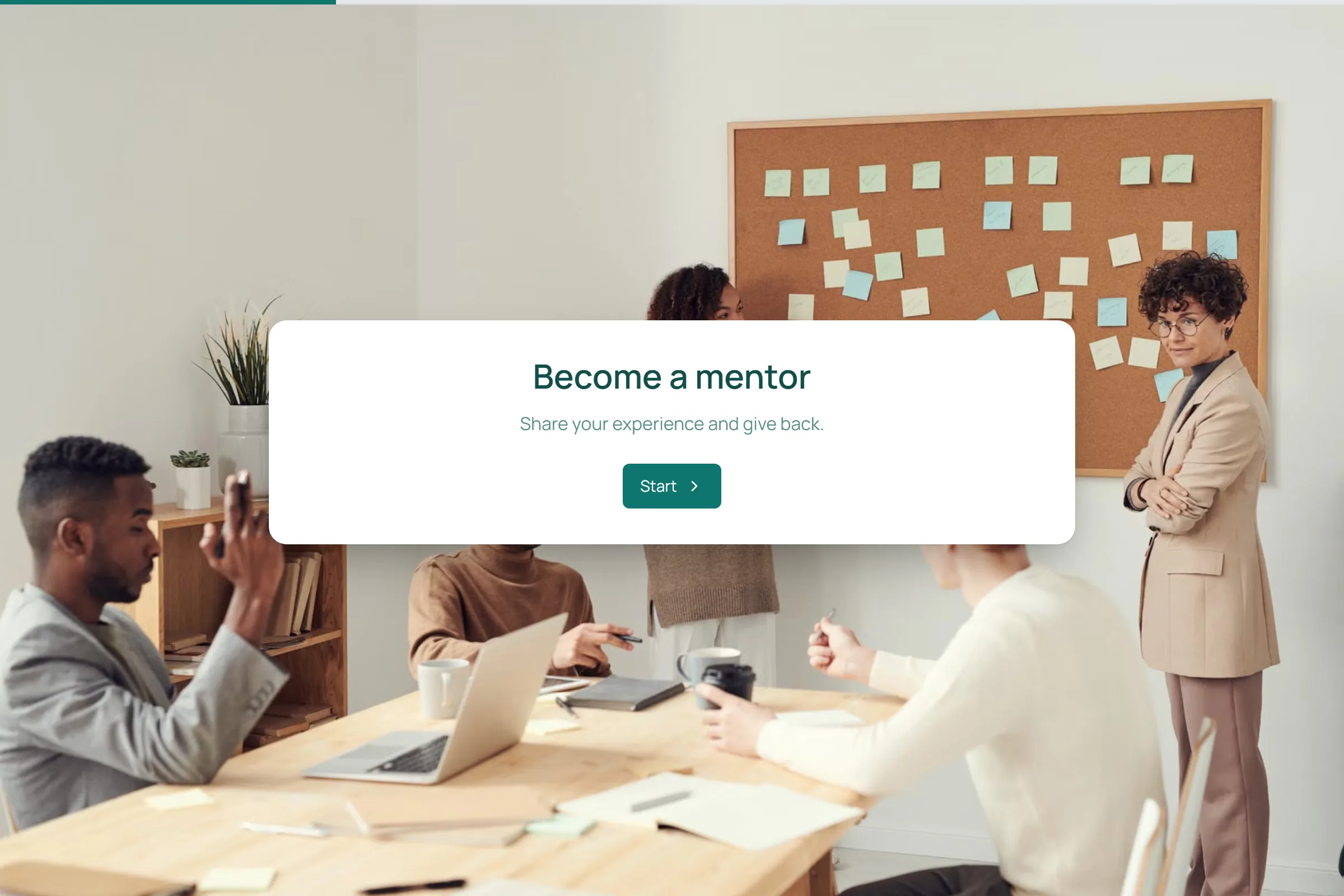 Mentor Application template preview