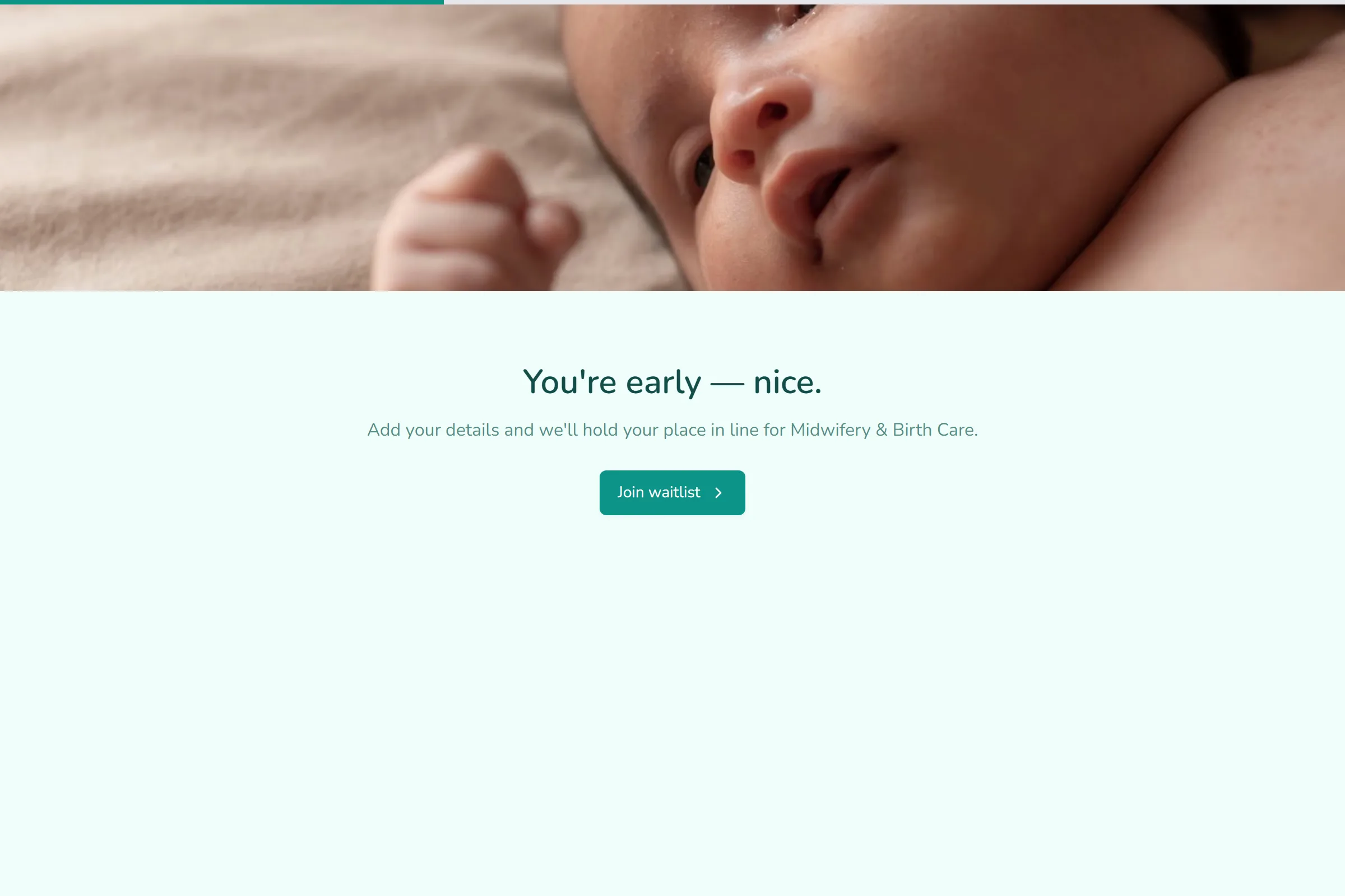 Midwifery & Birth Care Waitlist template preview