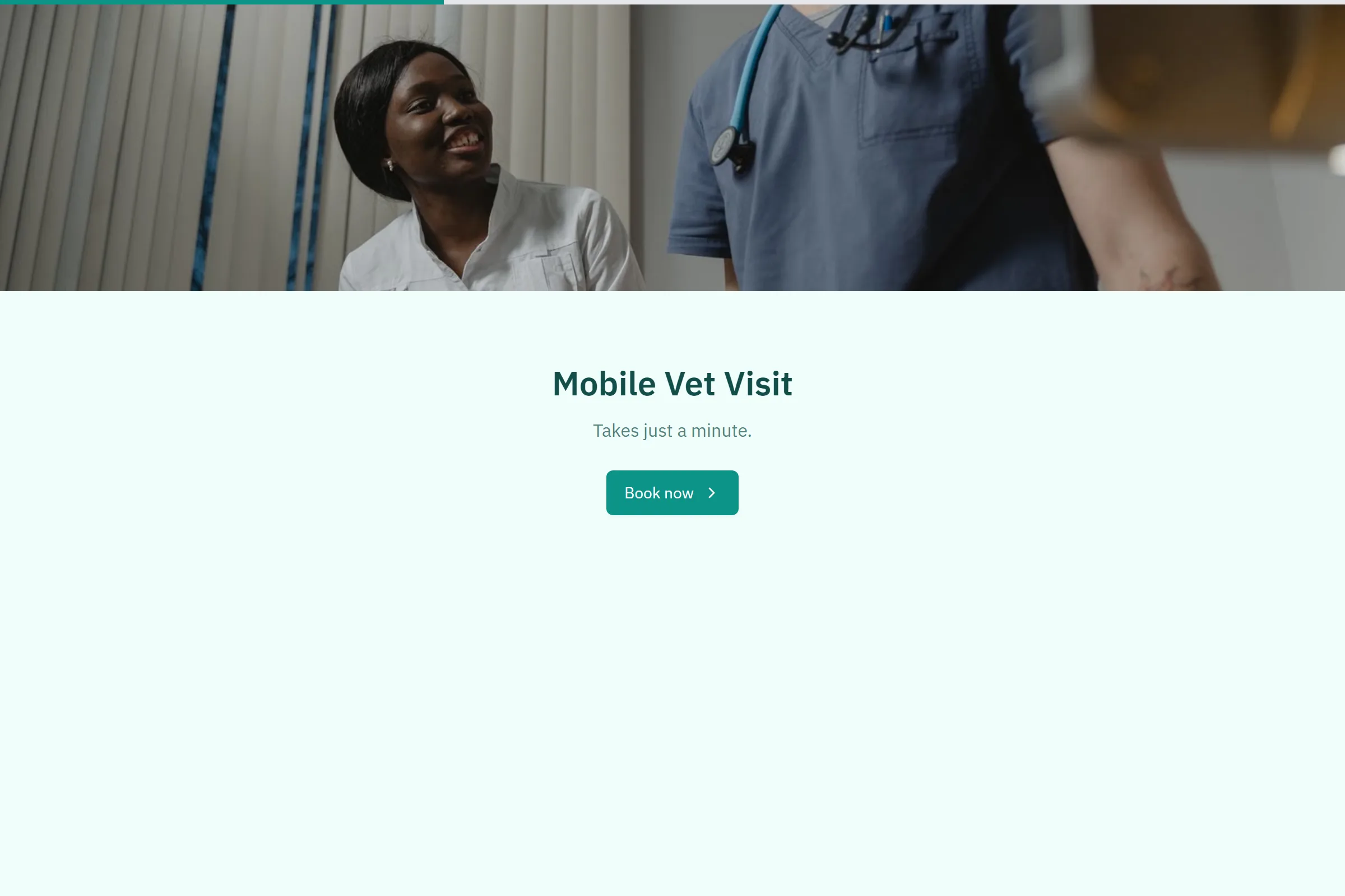 Mobile Vet Visit template preview