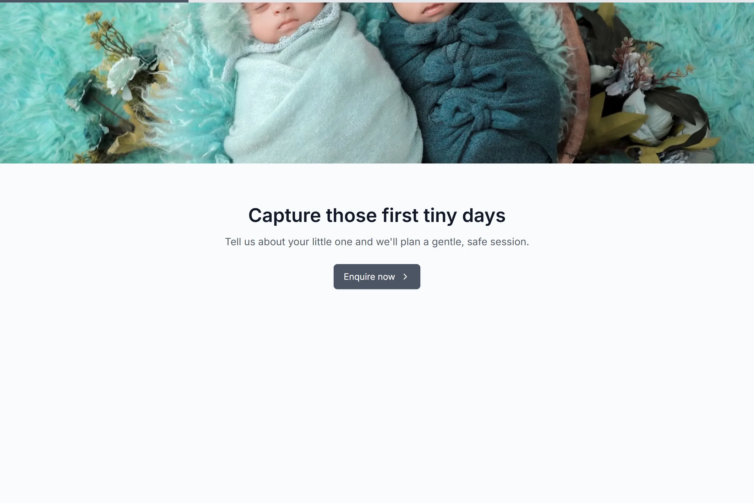 Newborn Photography Inquiry template preview