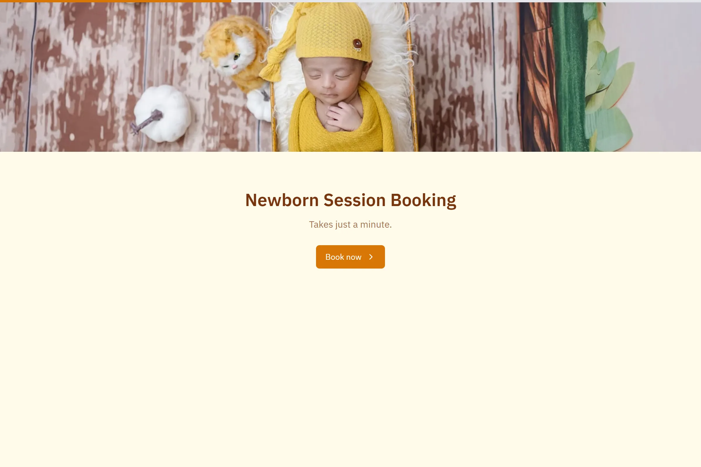 Newborn Session Booking template preview