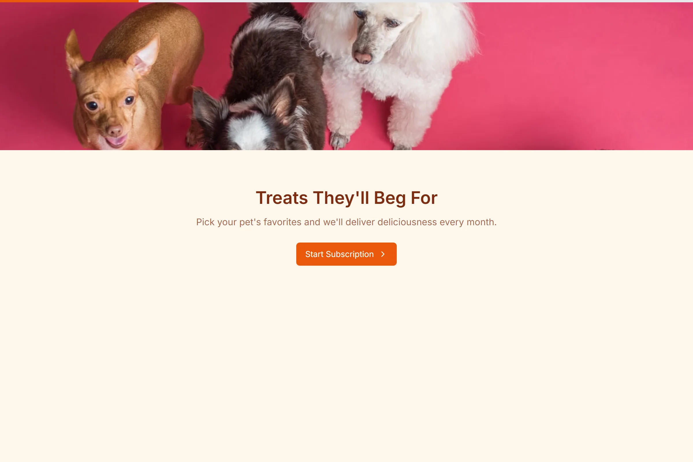 Nibbles Treats Subscription template preview