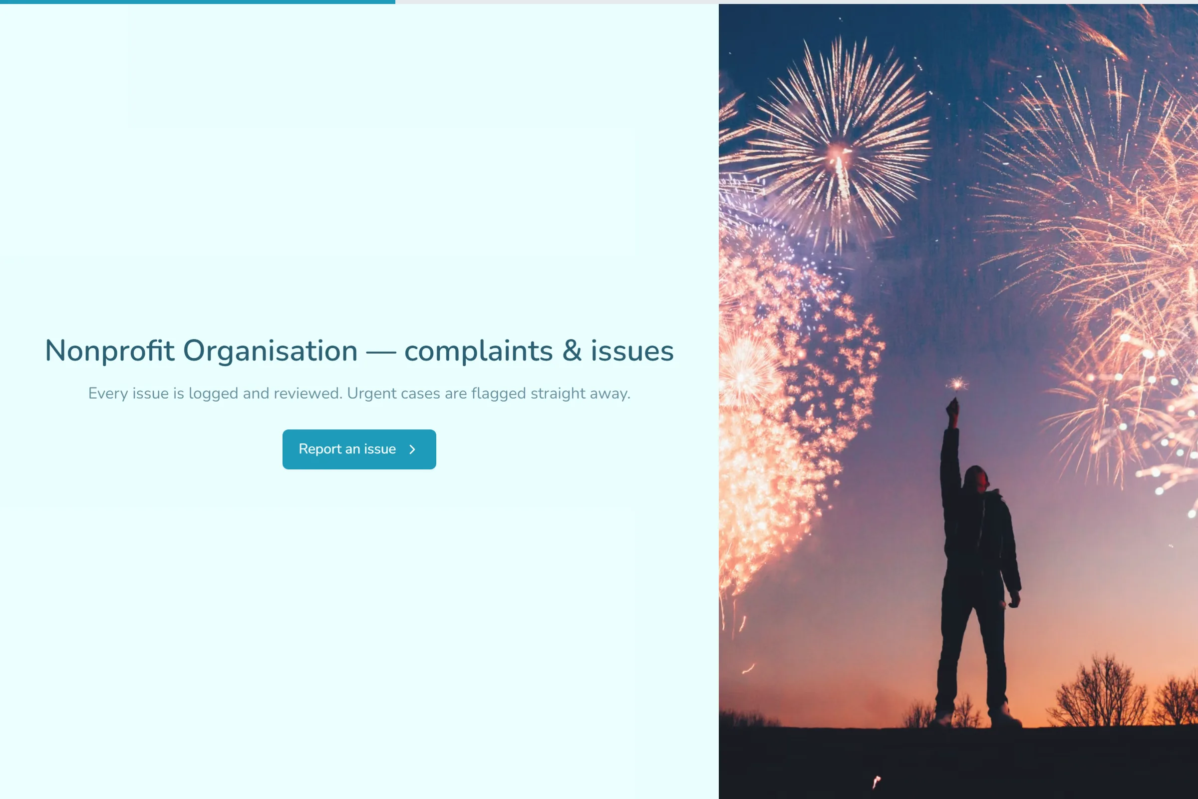 Nonprofit Organisation Complaint / Issue Form template preview