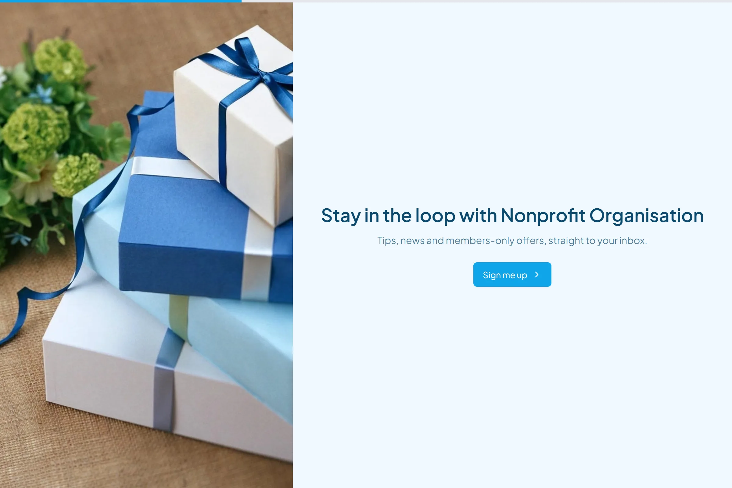 Nonprofit Organisation Newsletter & Updates Signup template preview