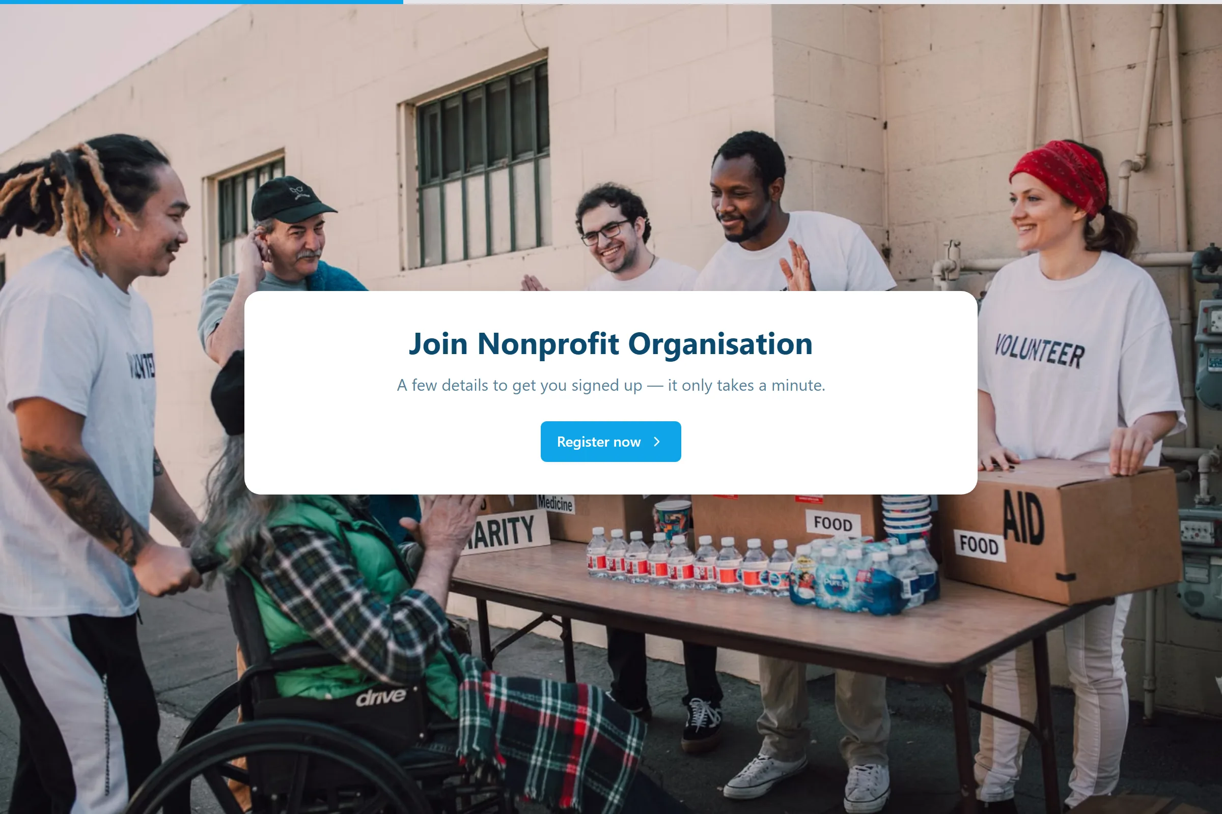 Nonprofit Organisation Program Application template preview