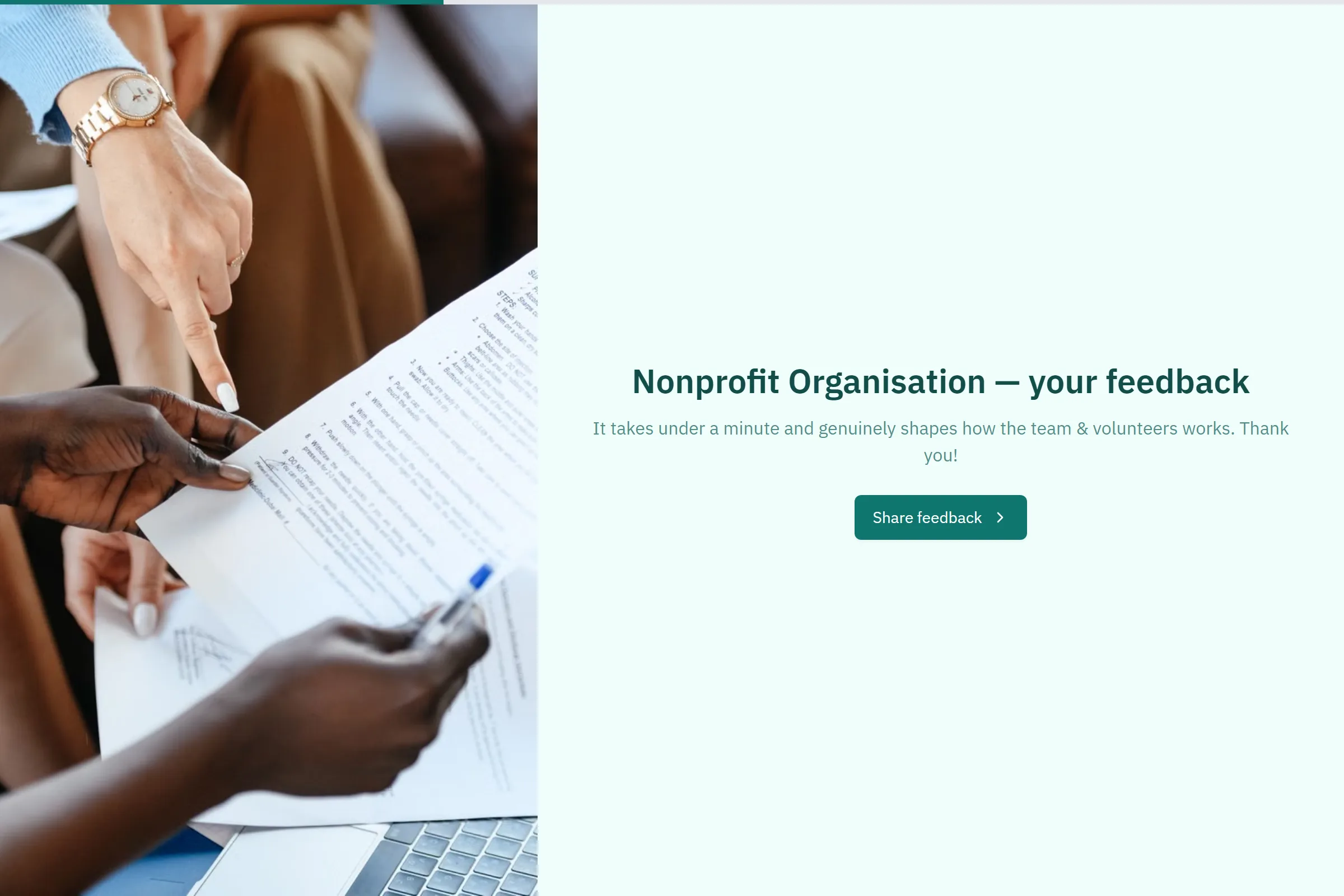 Nonprofit Organisation Satisfaction Survey template preview