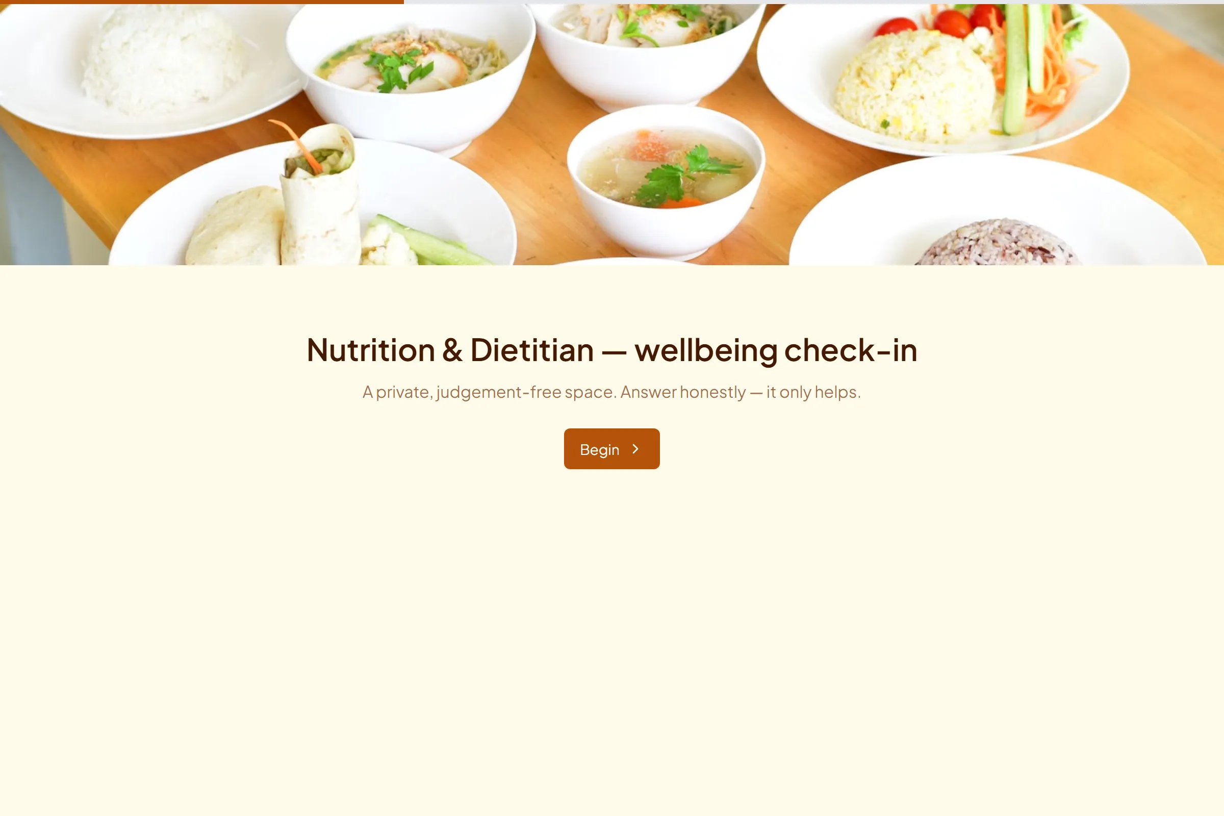 Nutrition & Dietitian Wellbeing Check-in template preview