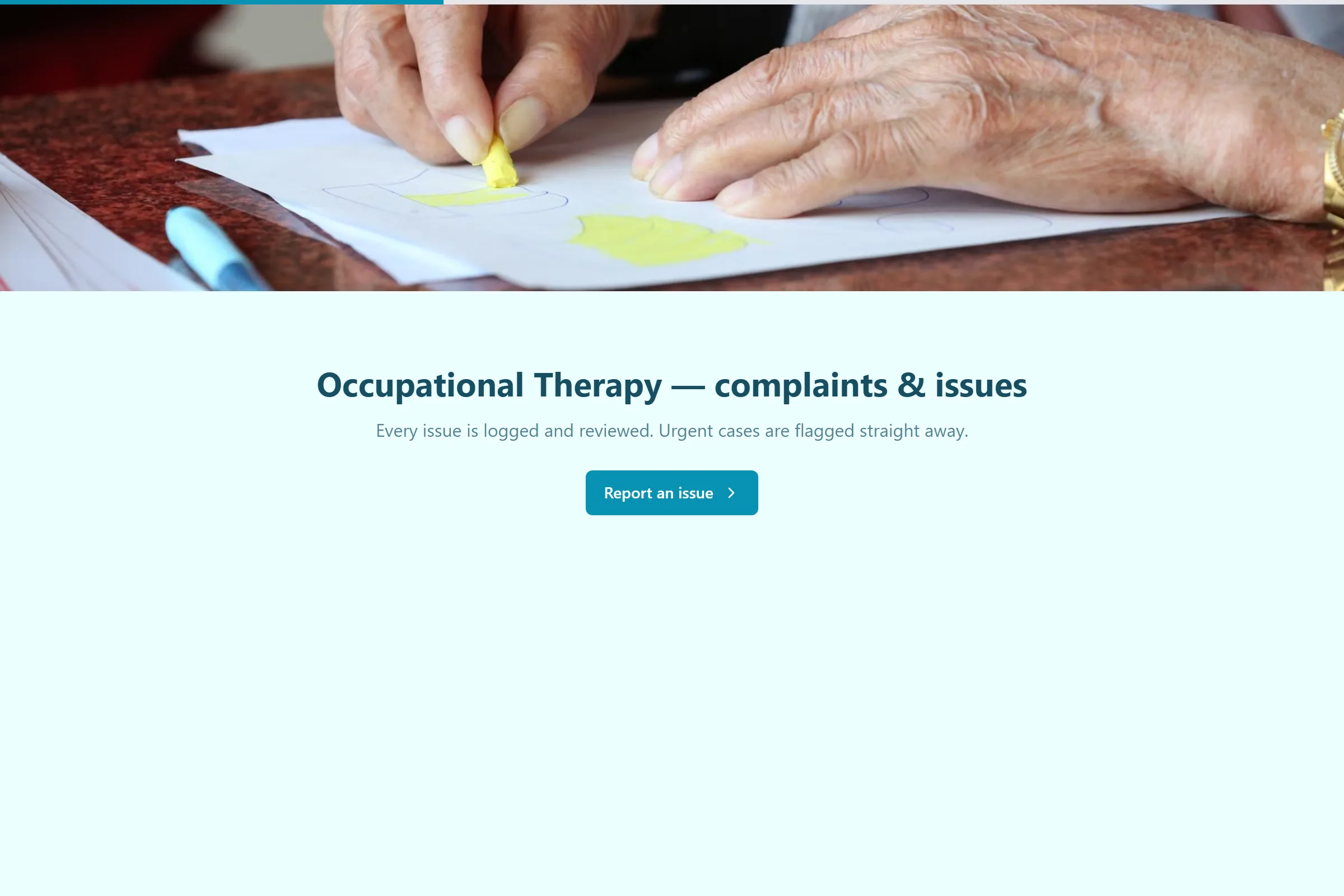 Occupational Therapy Complaint / Issue Form template preview